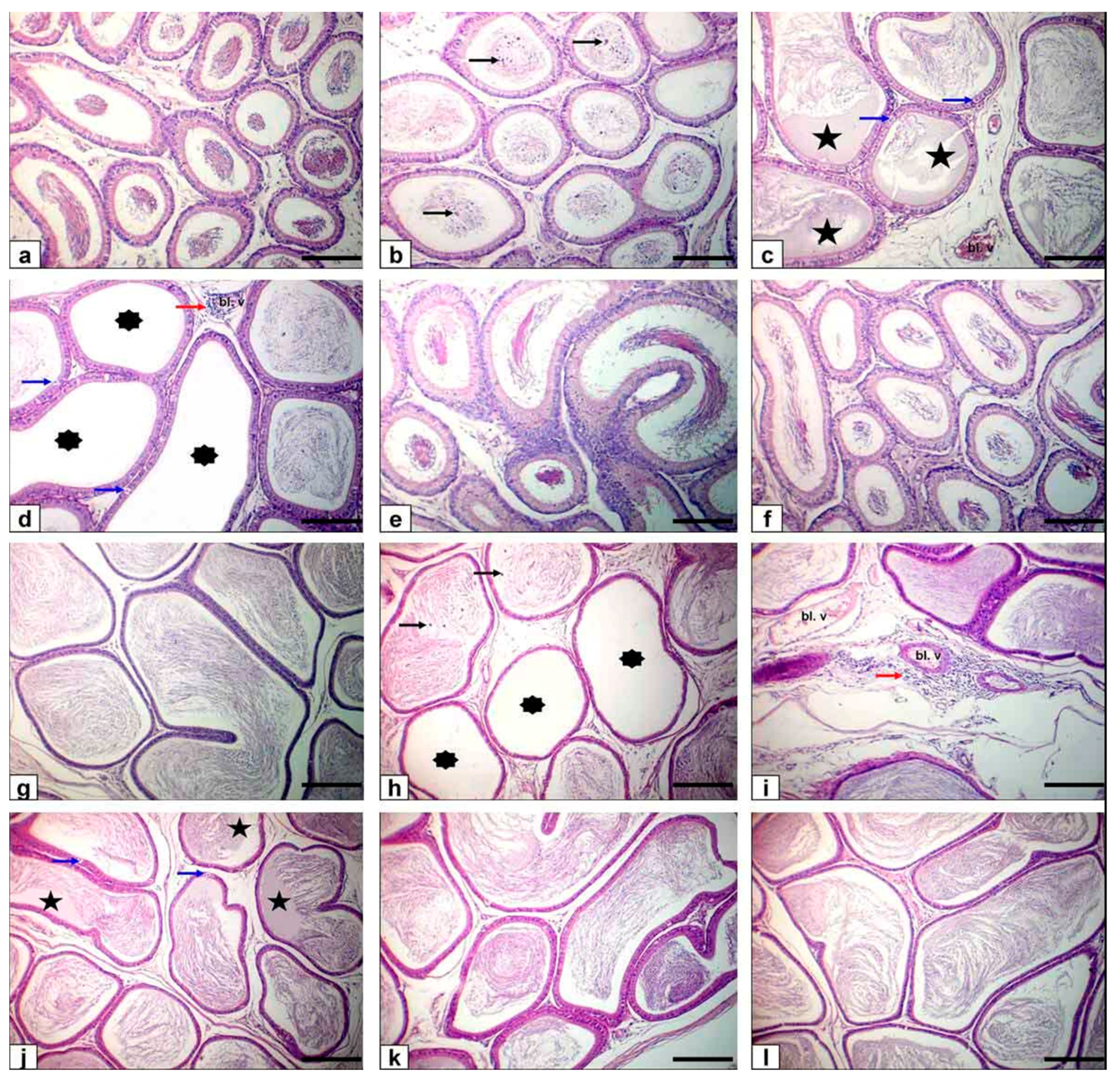 Animals 11 01302 g004