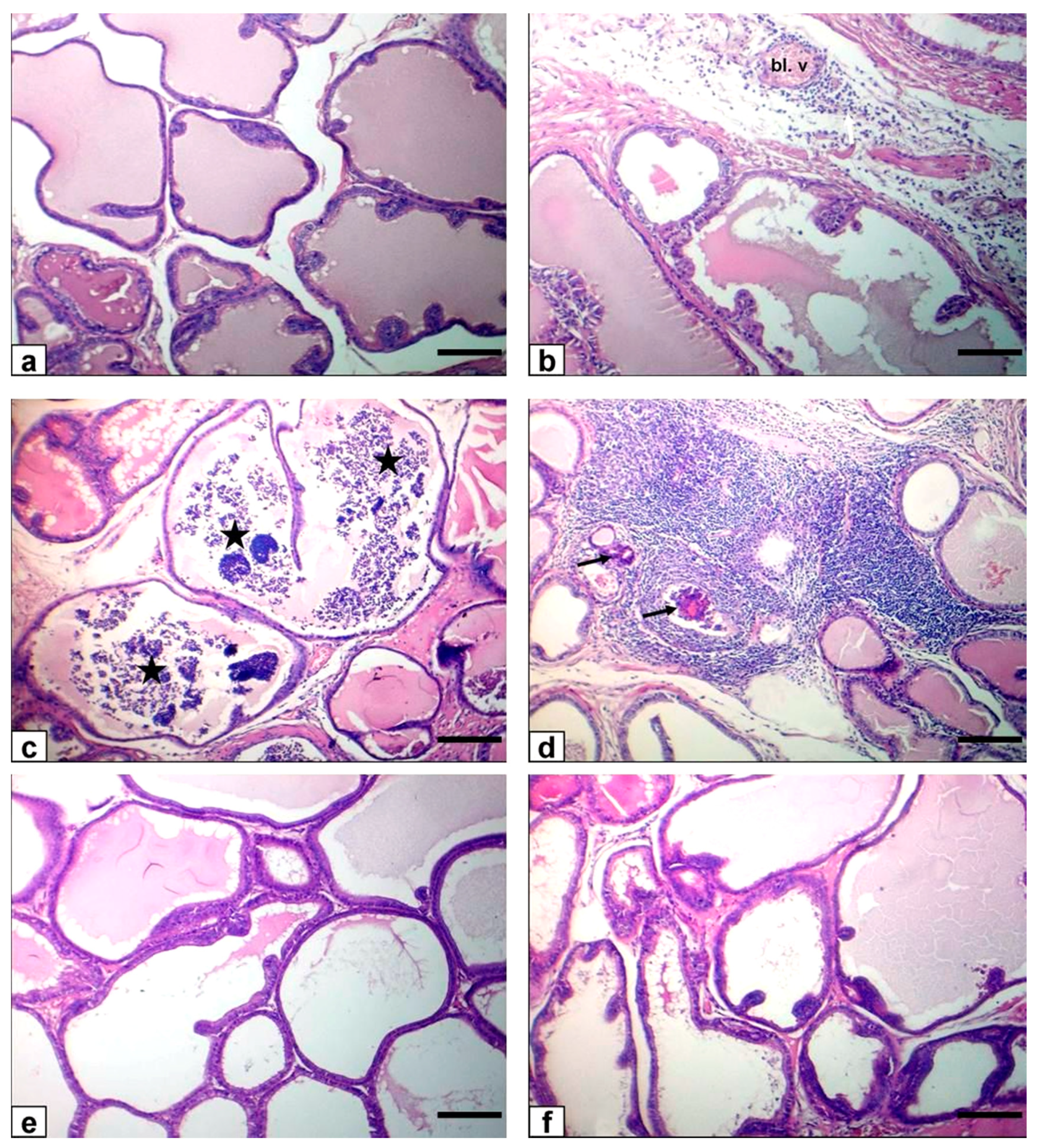 Animals 11 01302 g005