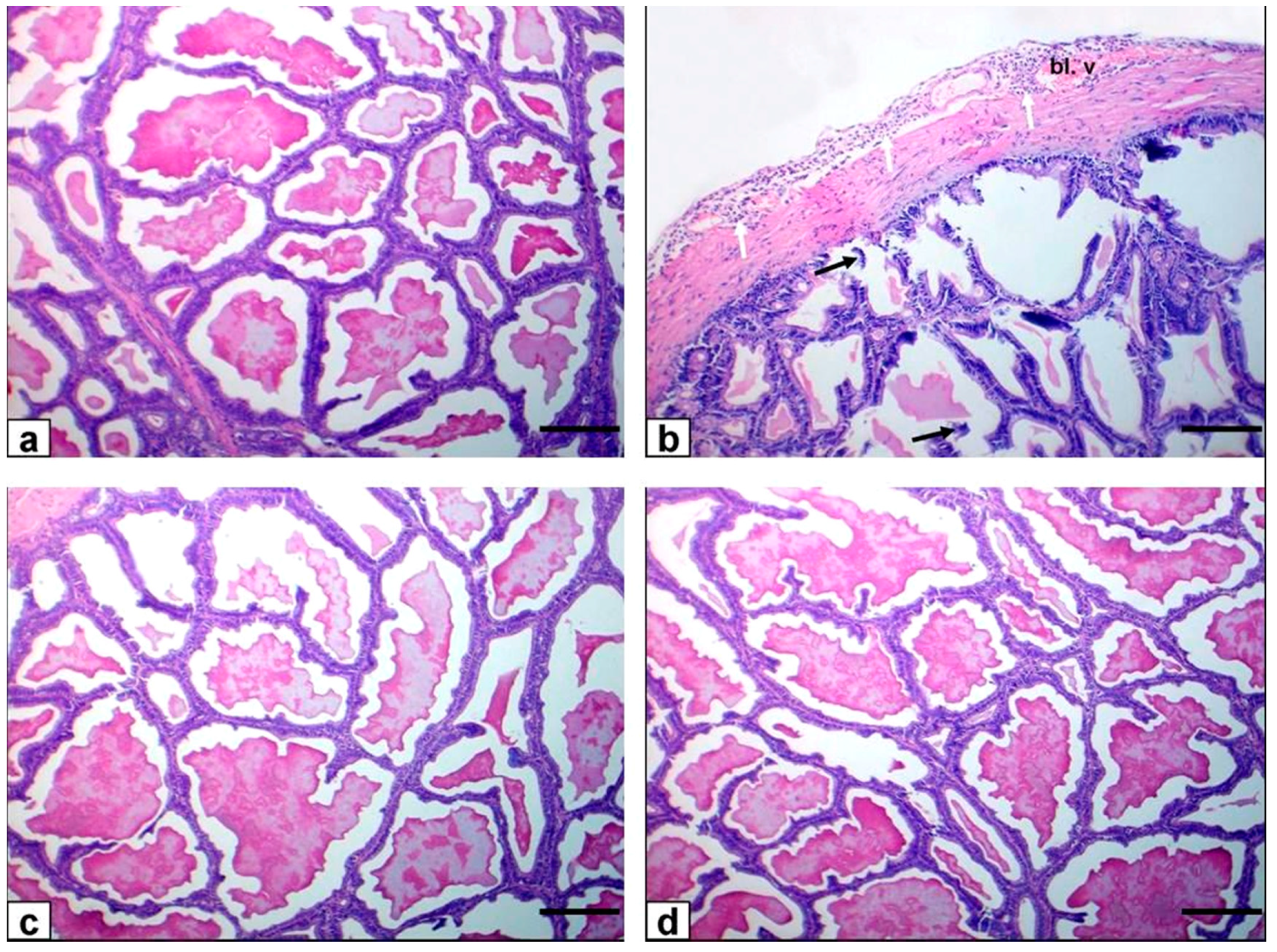 Animals 11 01302 g006