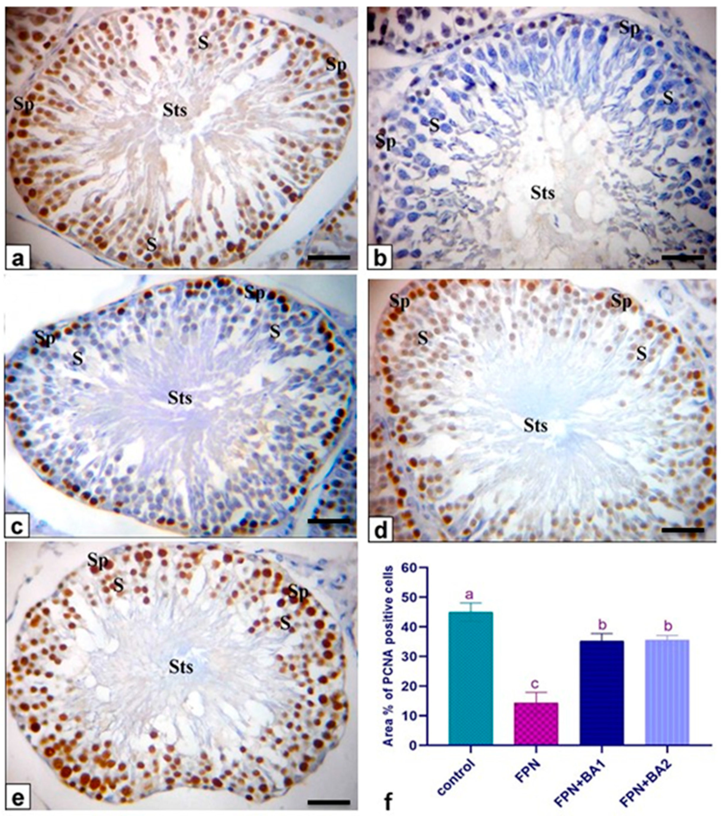 Animals 11 01302 g007