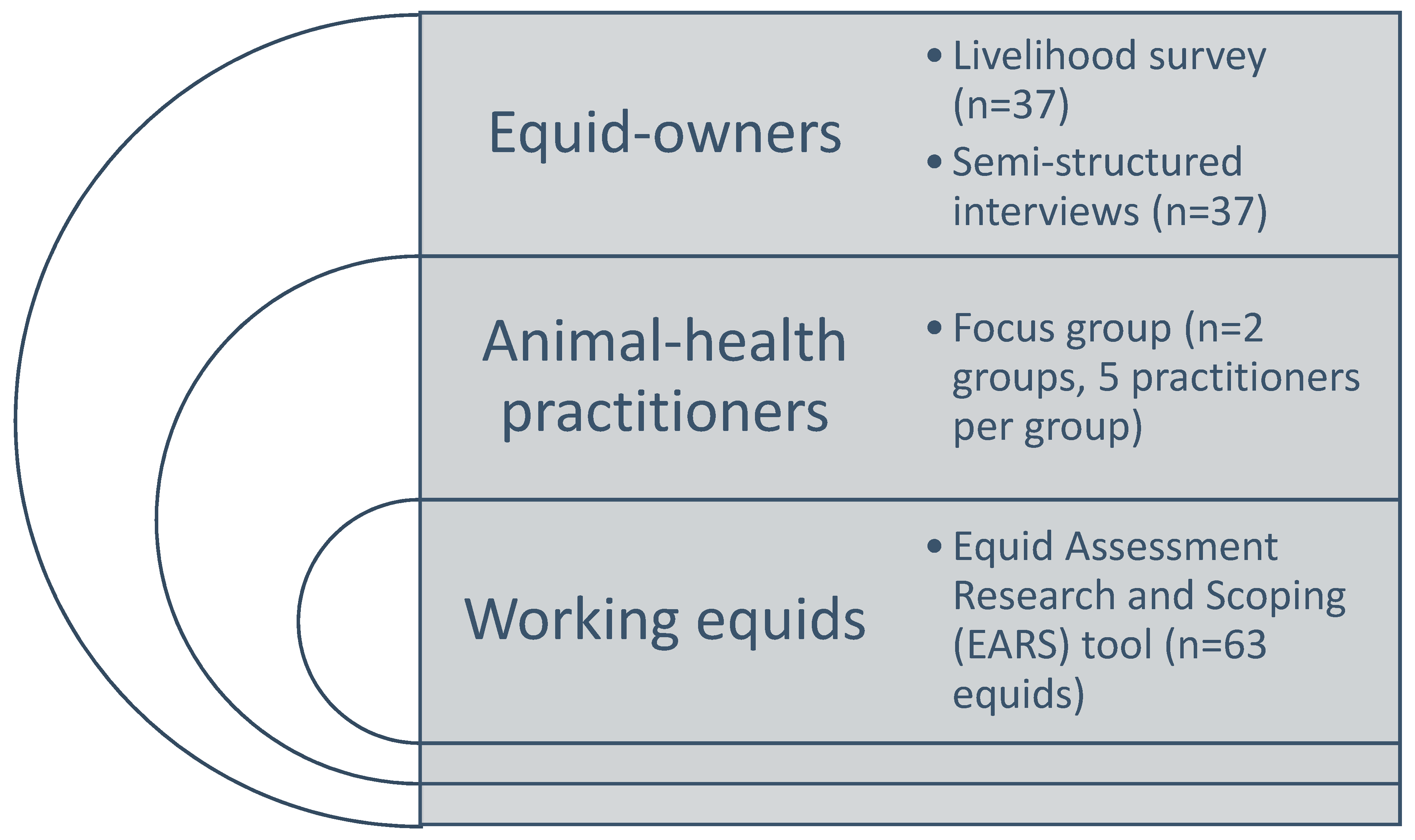 Animals 11 01307 g001