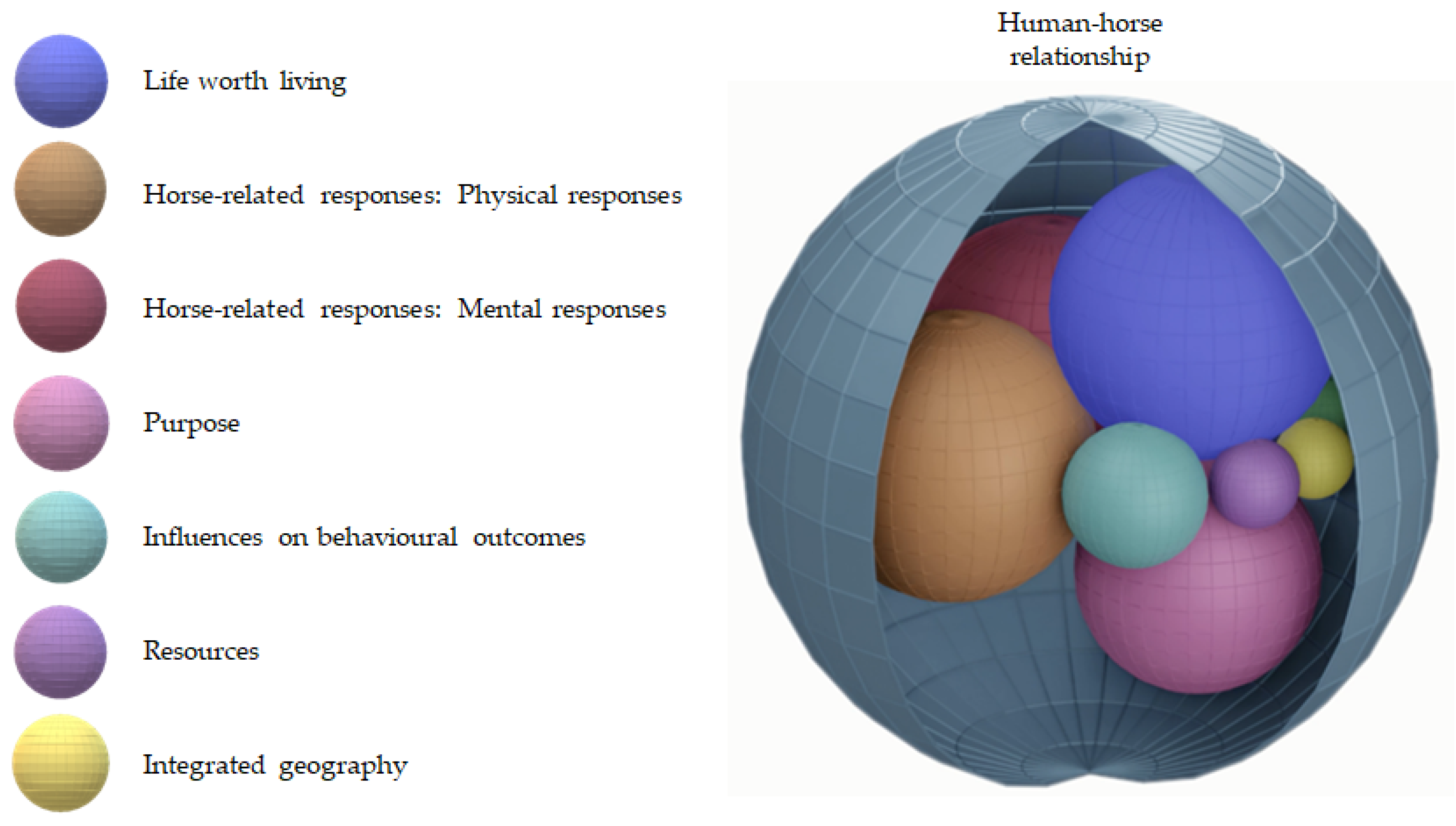 Animals 11 01309 g002