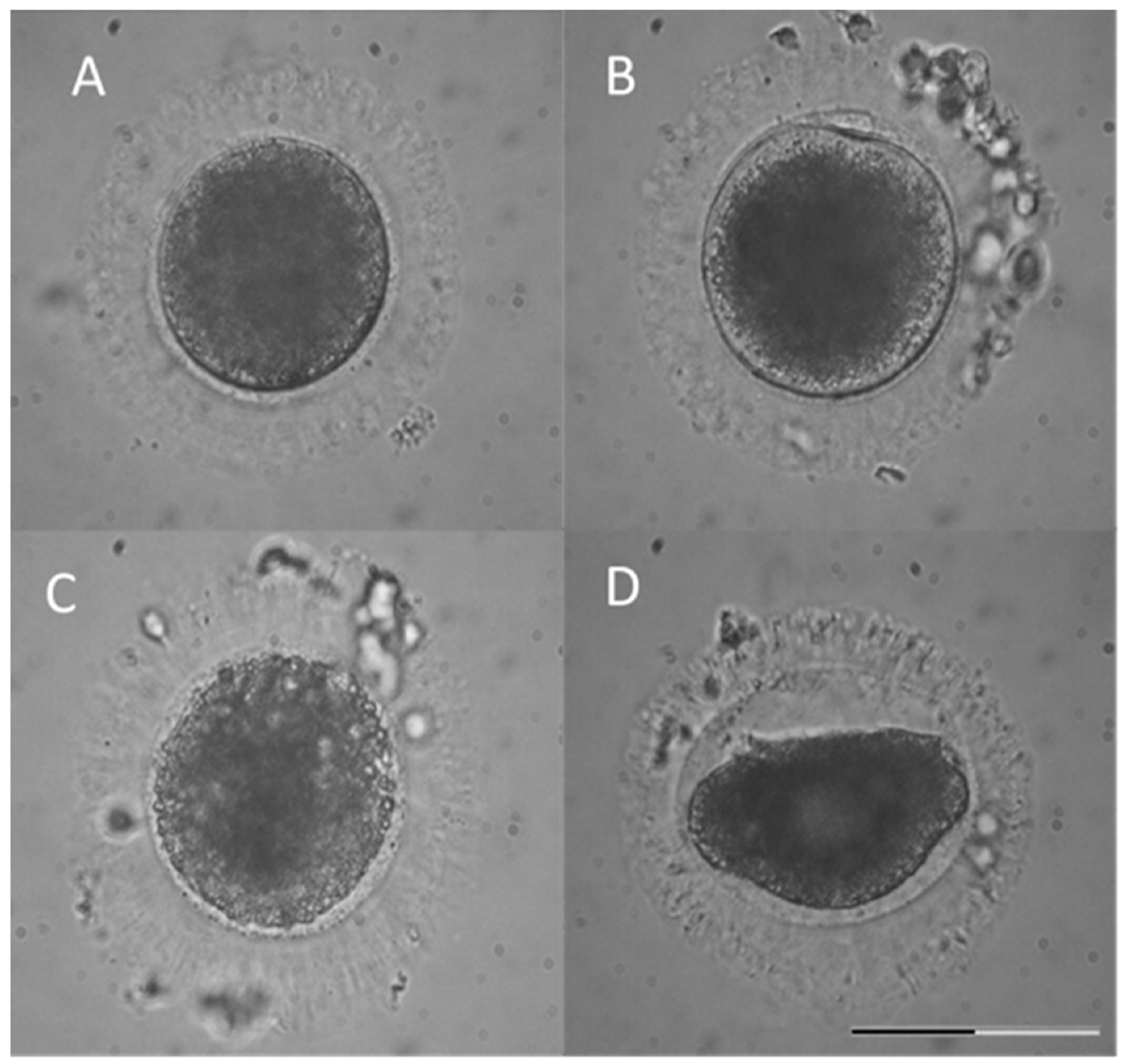 Animals 11 01314 g001