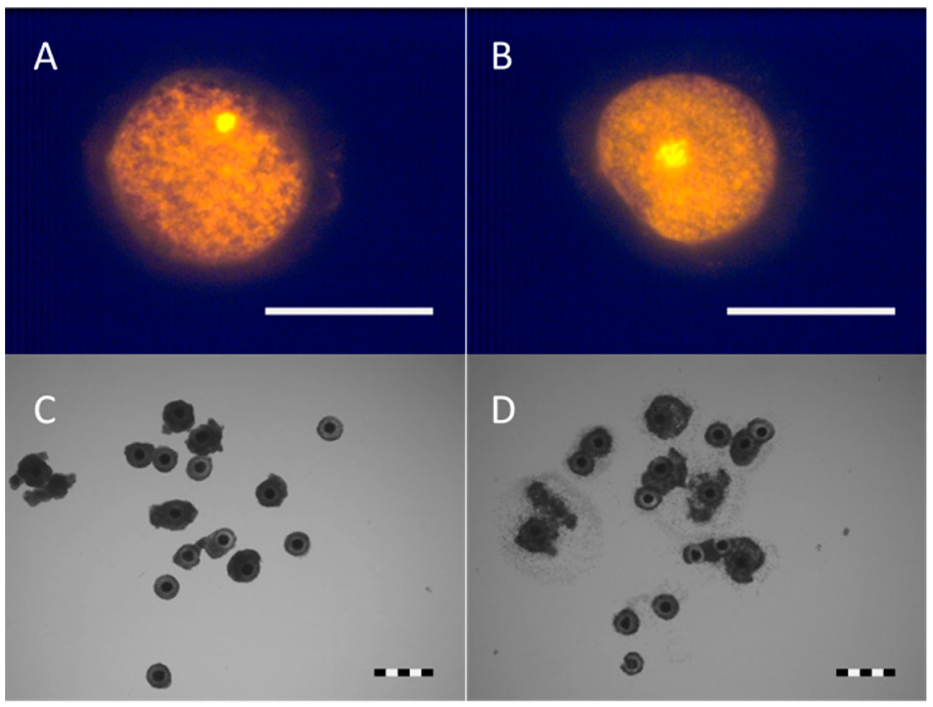 Animals 11 01314 g002