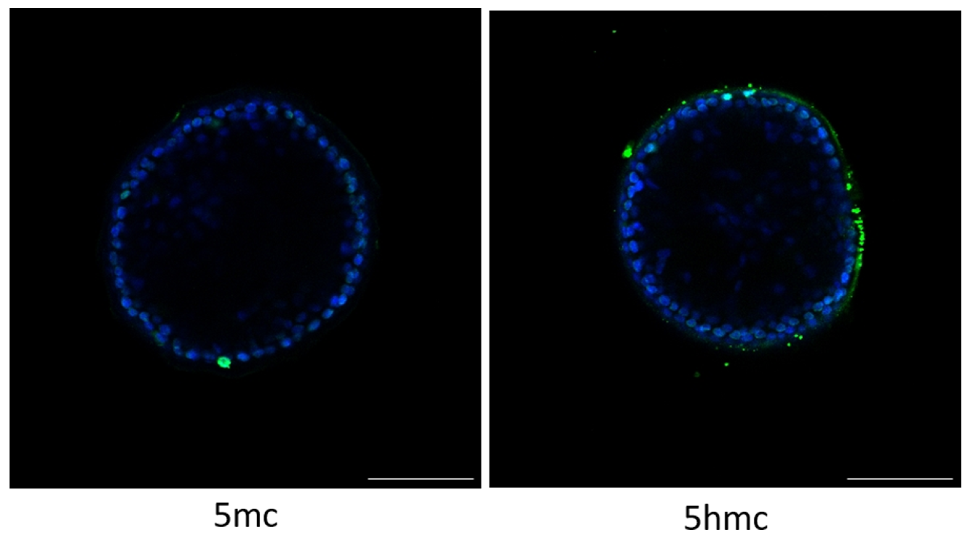 Animals 11 01325 g005 Animals 11 01325 g005