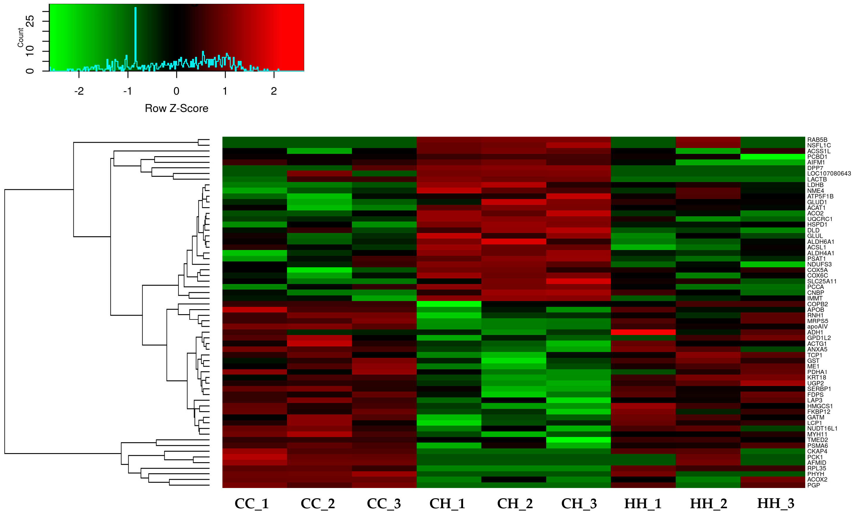 Animals 11 01338 g002