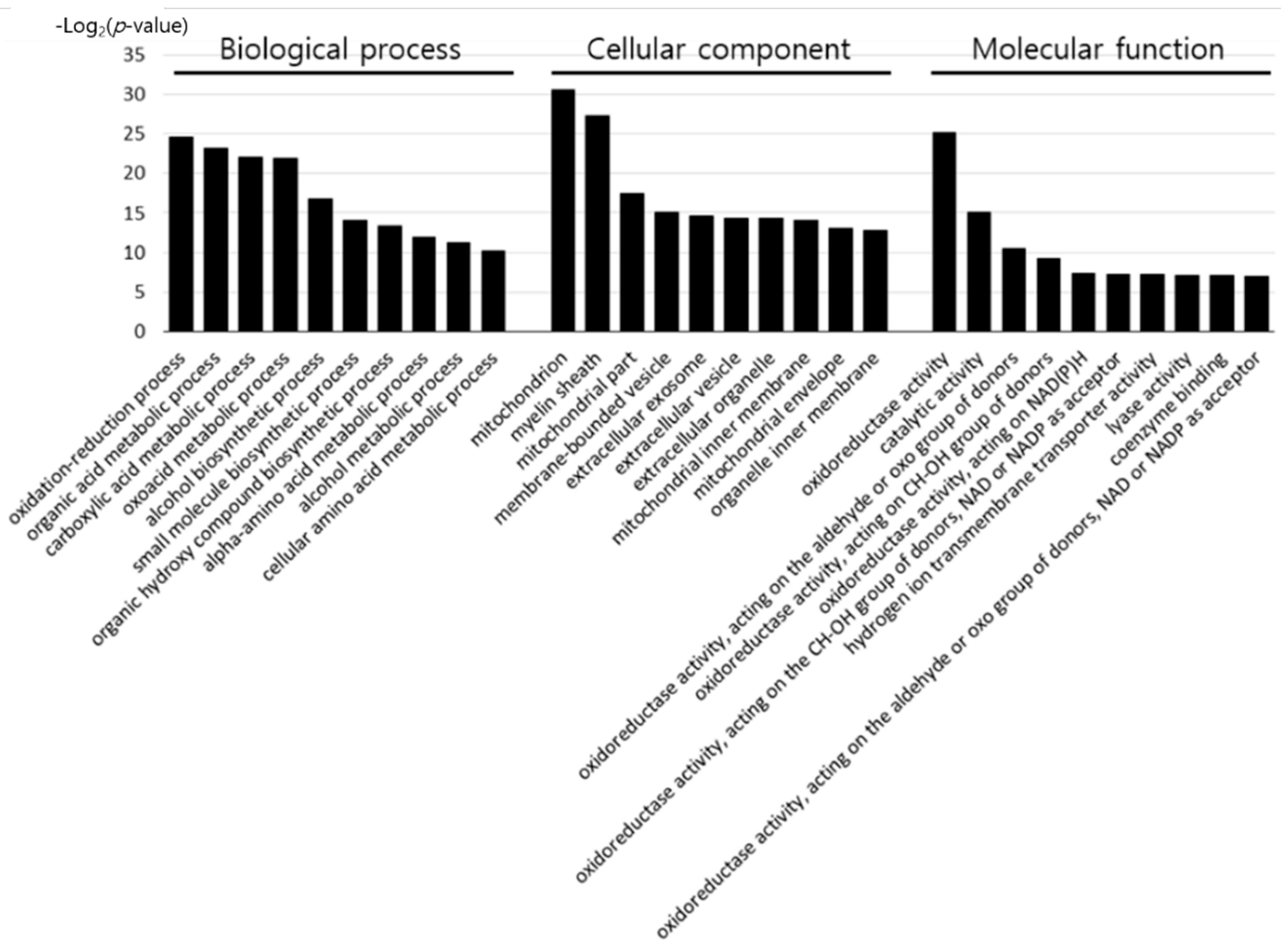 Animals 11 01338 g003