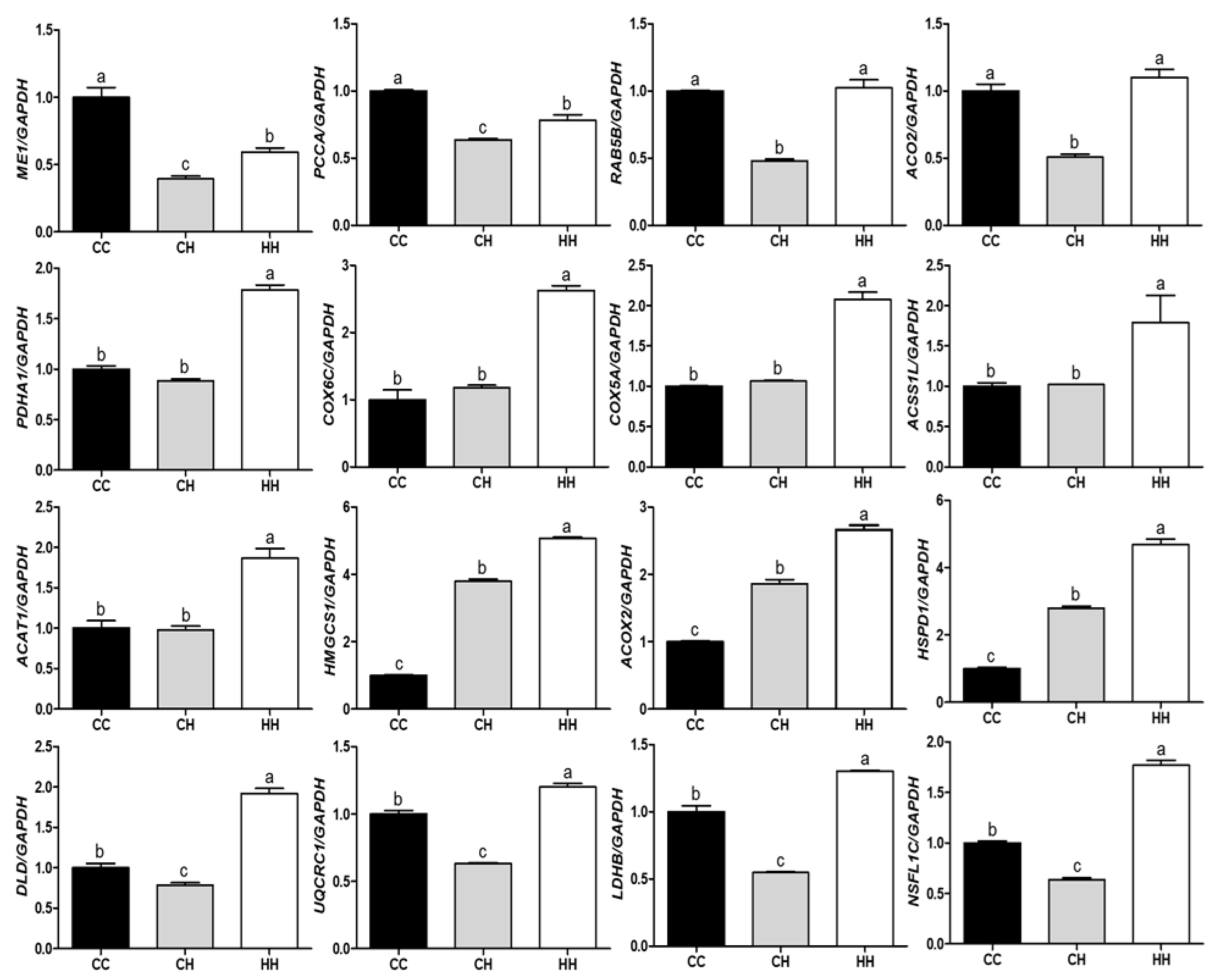 Animals 11 01338 g005