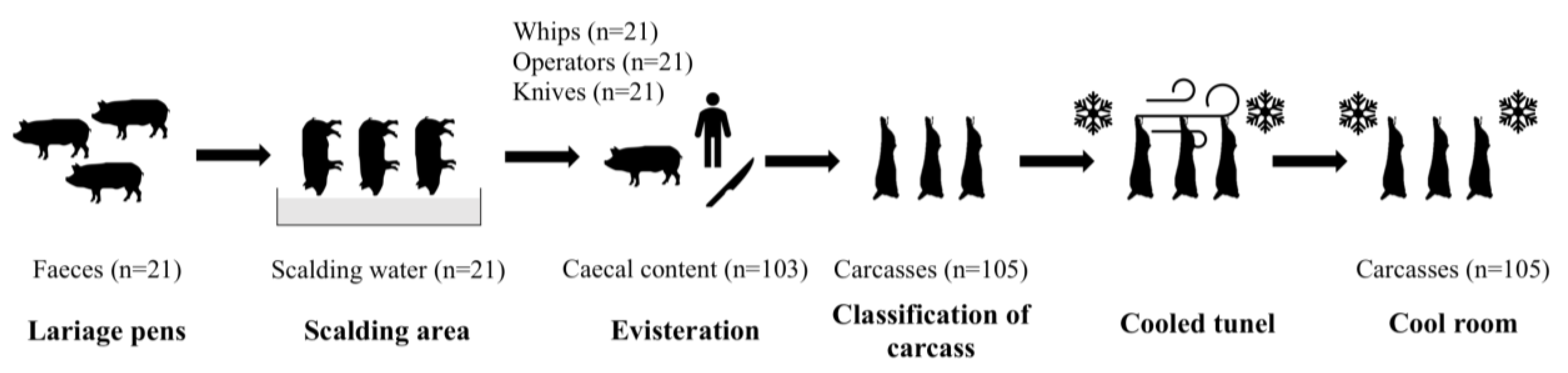 Animals 11 01339 g001