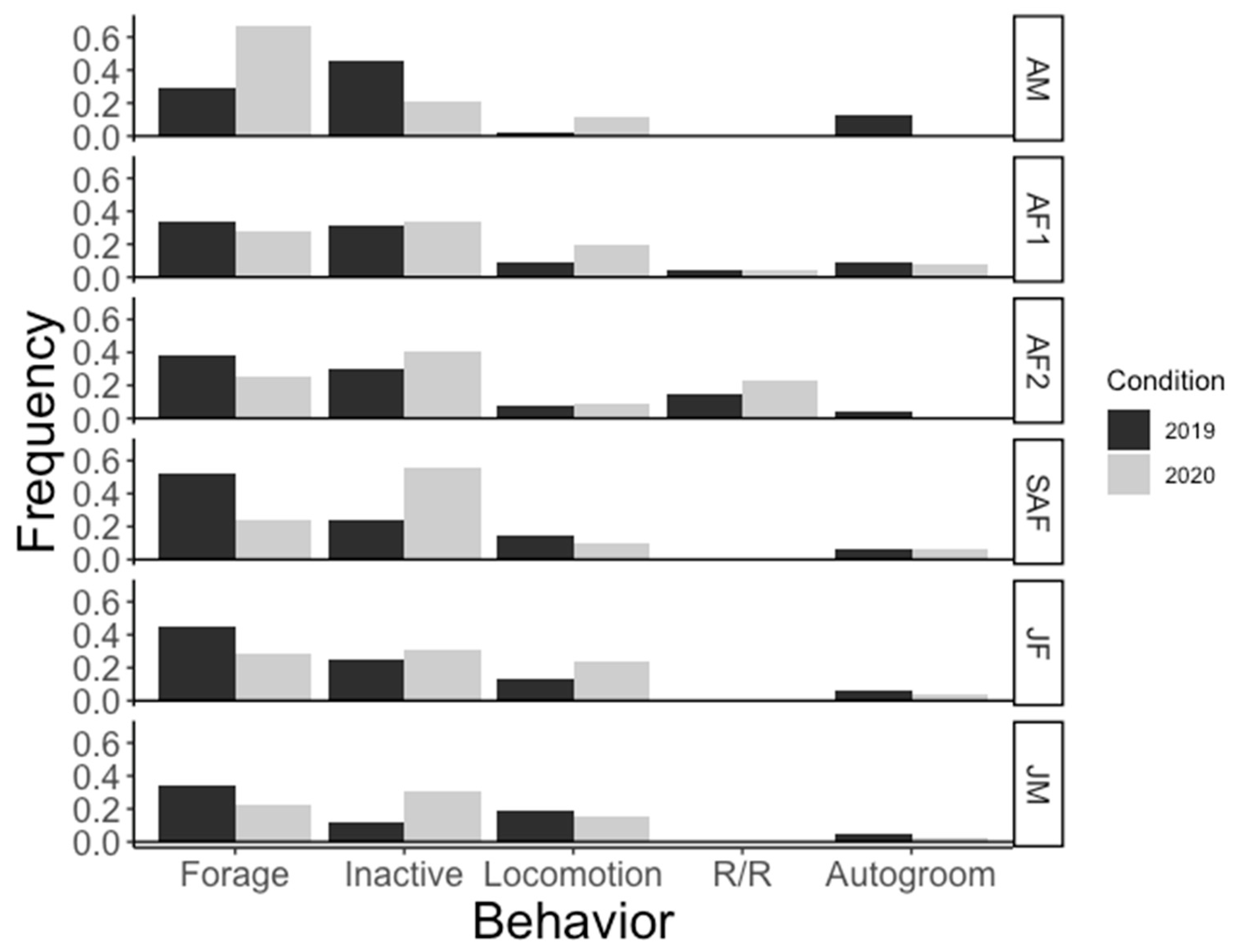 Animals 11 01346 g002