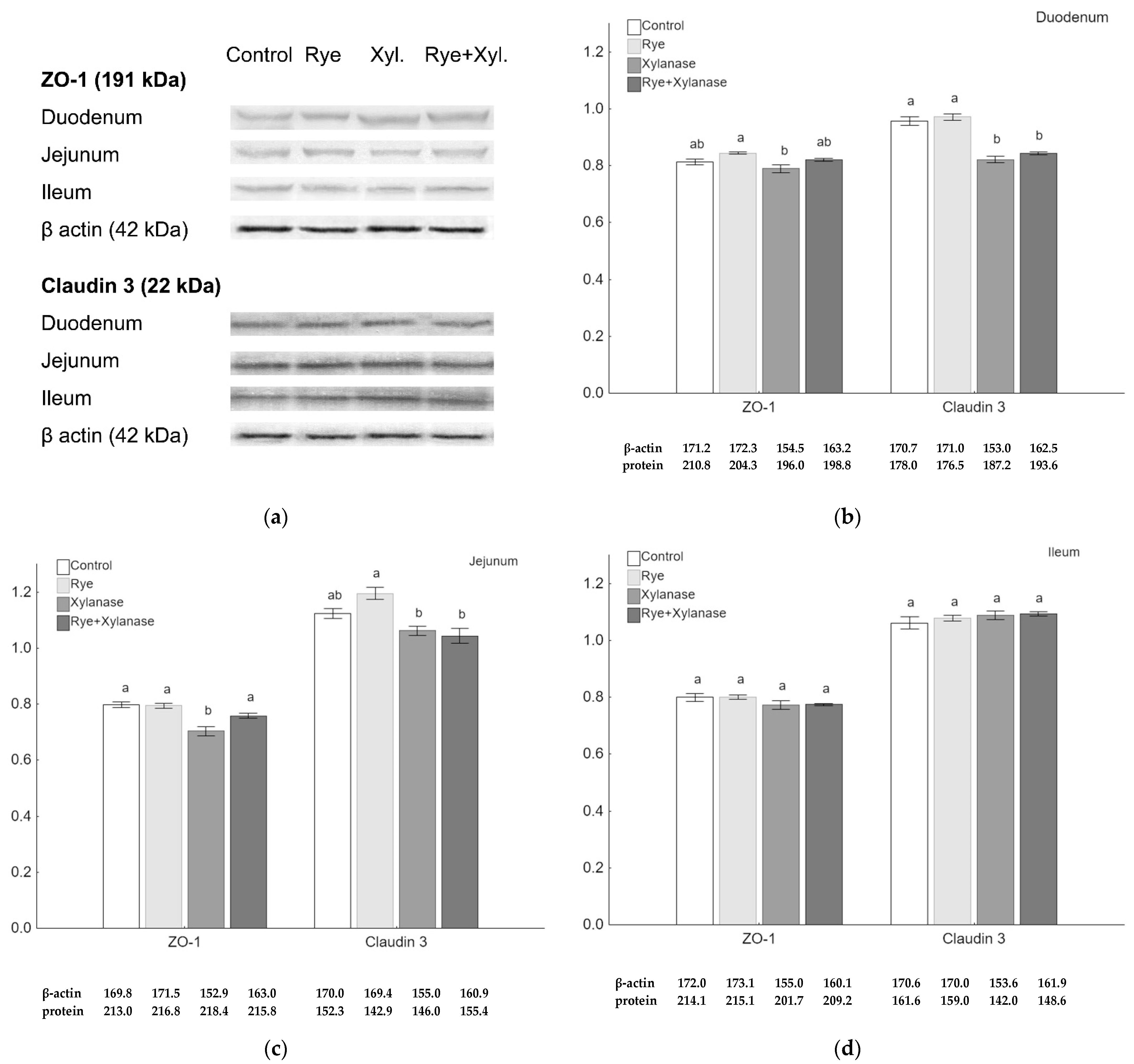 Animals 11 01349 g002
