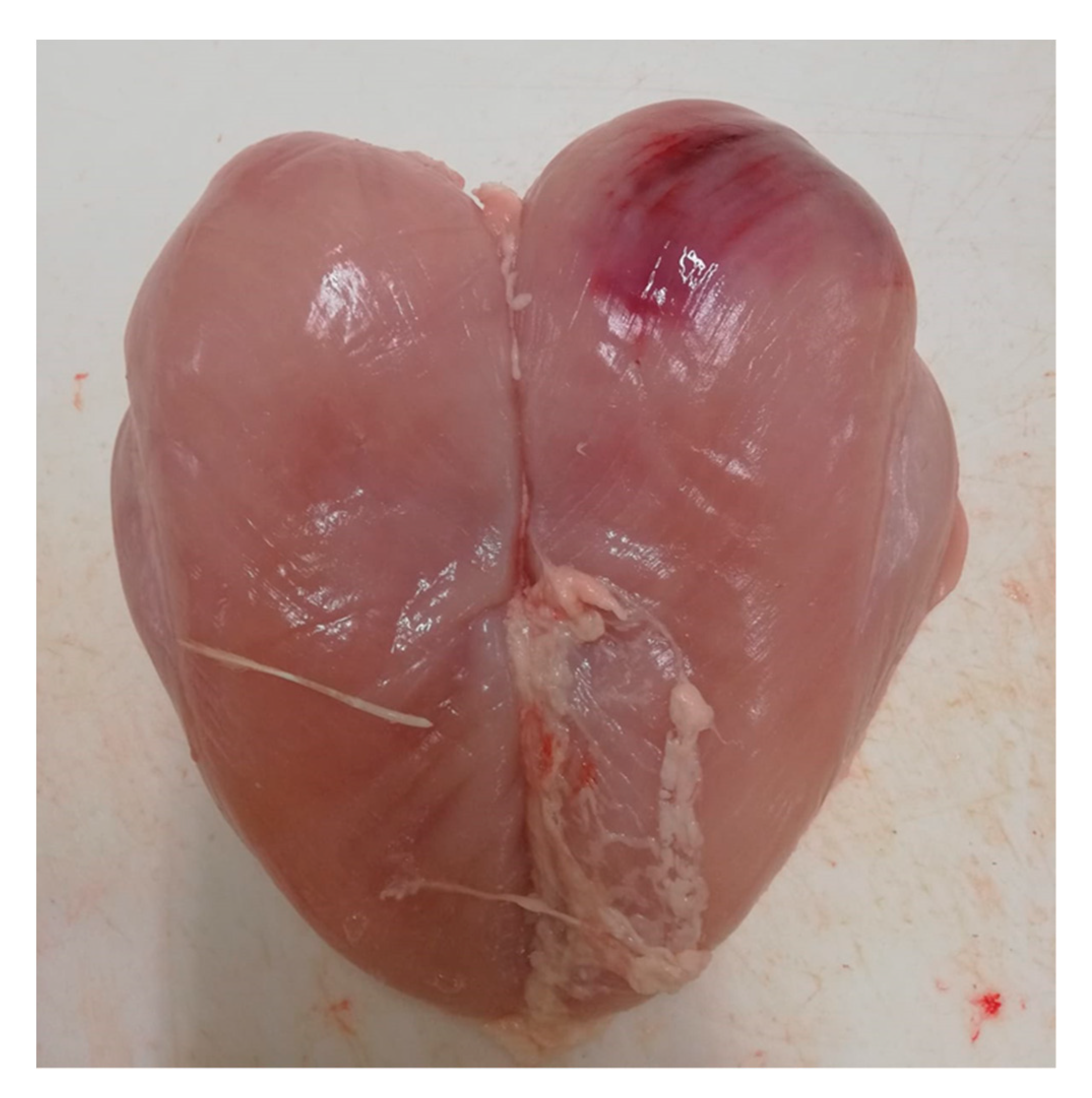 Animals 11 01362 g001