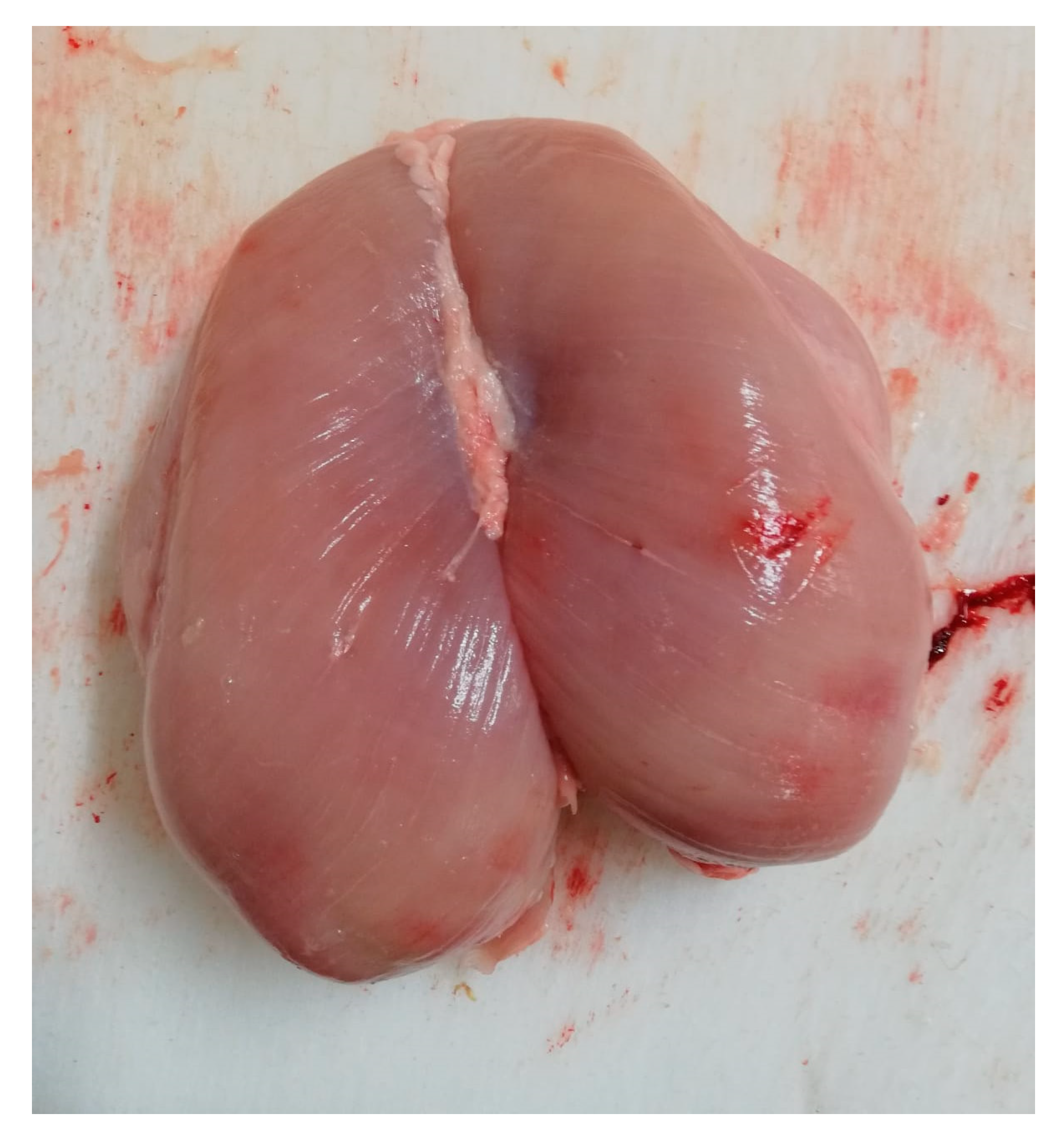 Animals 11 01362 g002