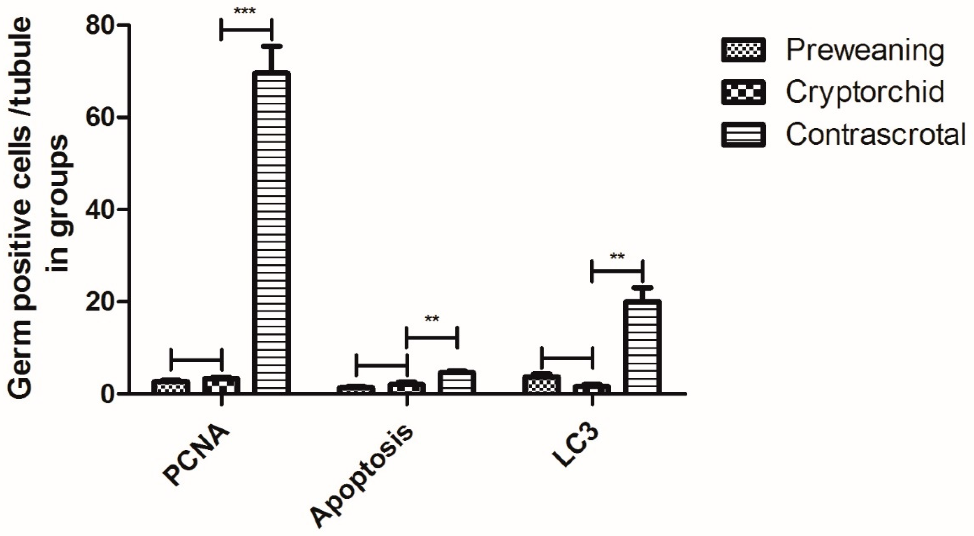 Animals 11 01379 g004 Animals 11 01379 g004