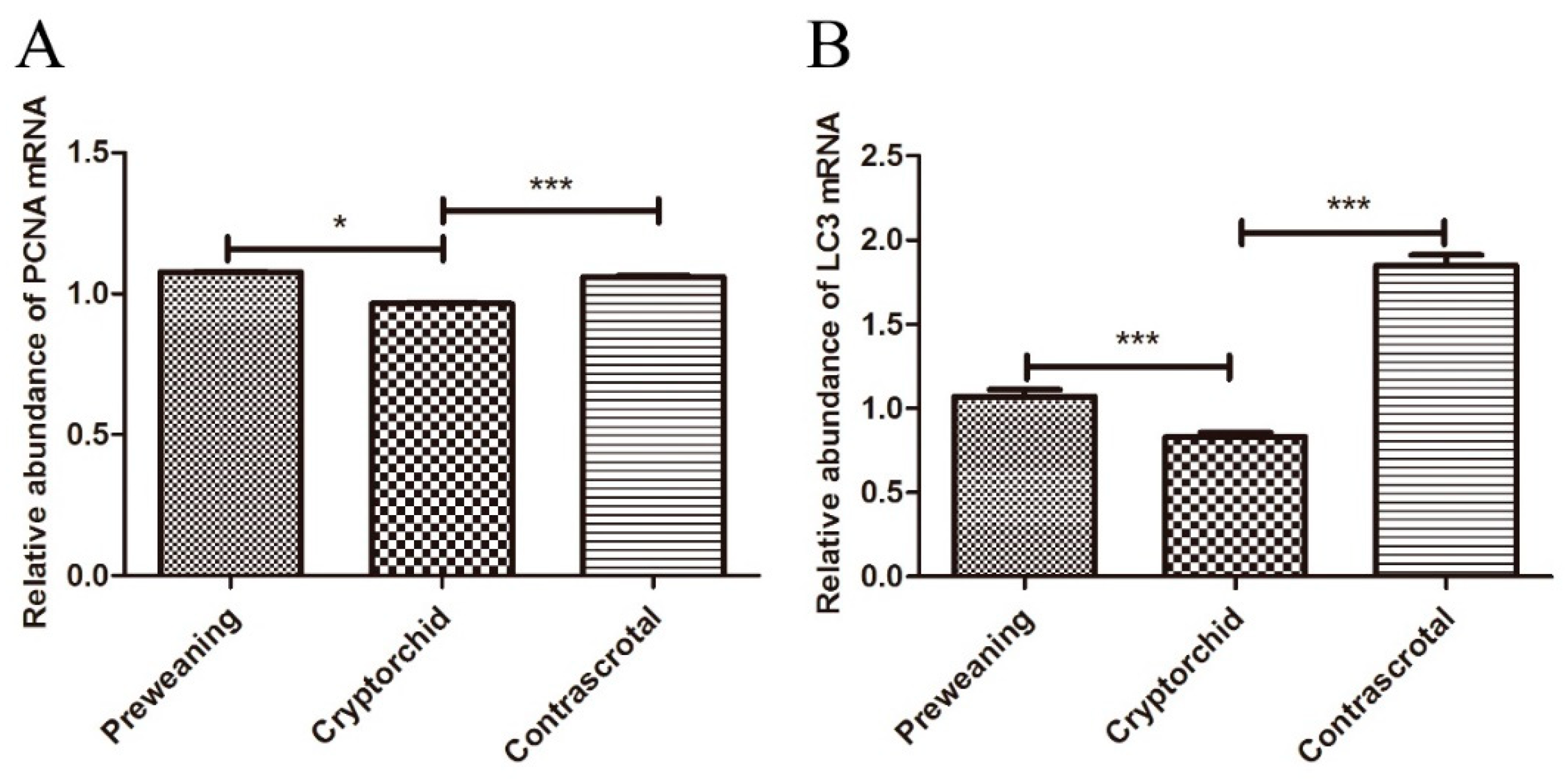Animals 11 01379 g008 Animals 11 01379 g008