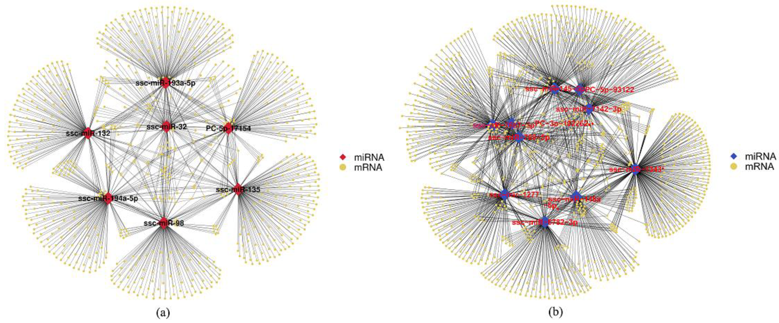 Animals 11 01391 g004