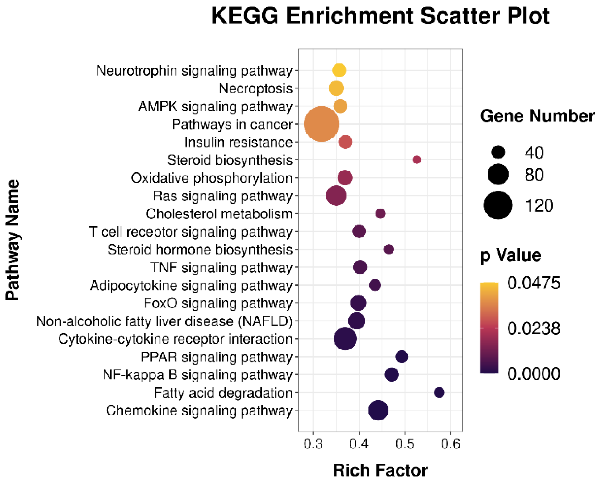 Animals 11 01391 g007