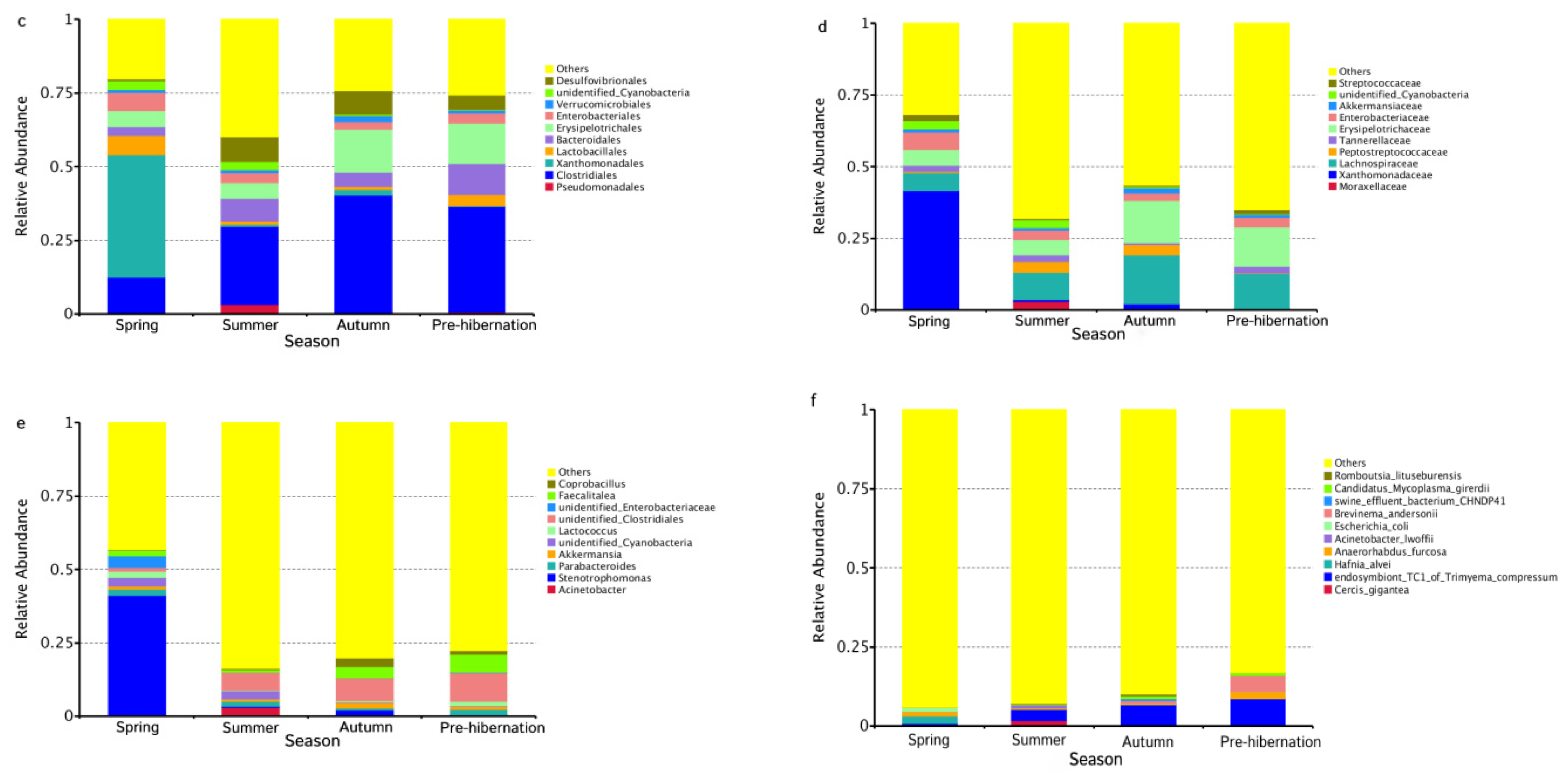 Animals 11 01393 g001b