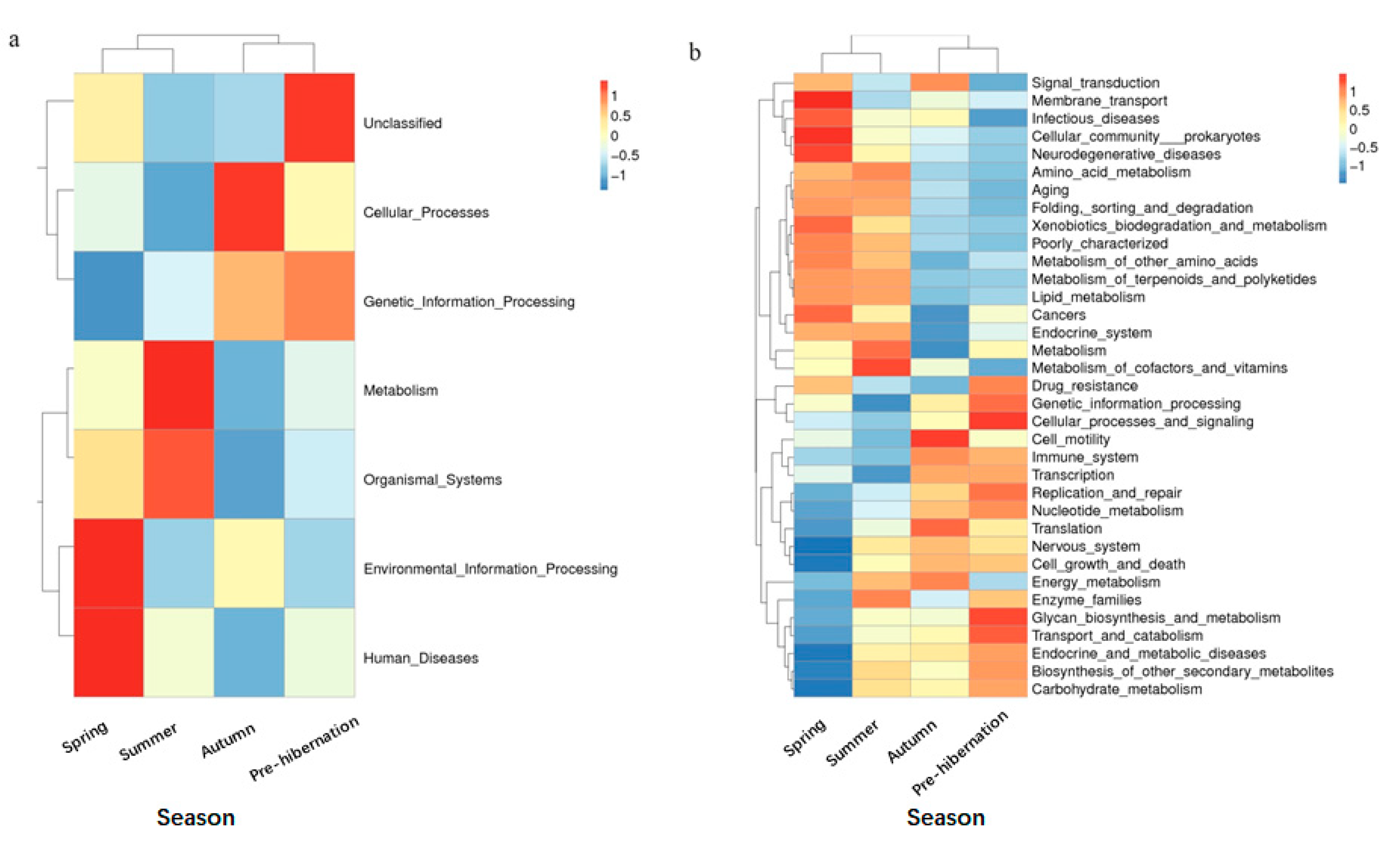 Animals 11 01393 g004