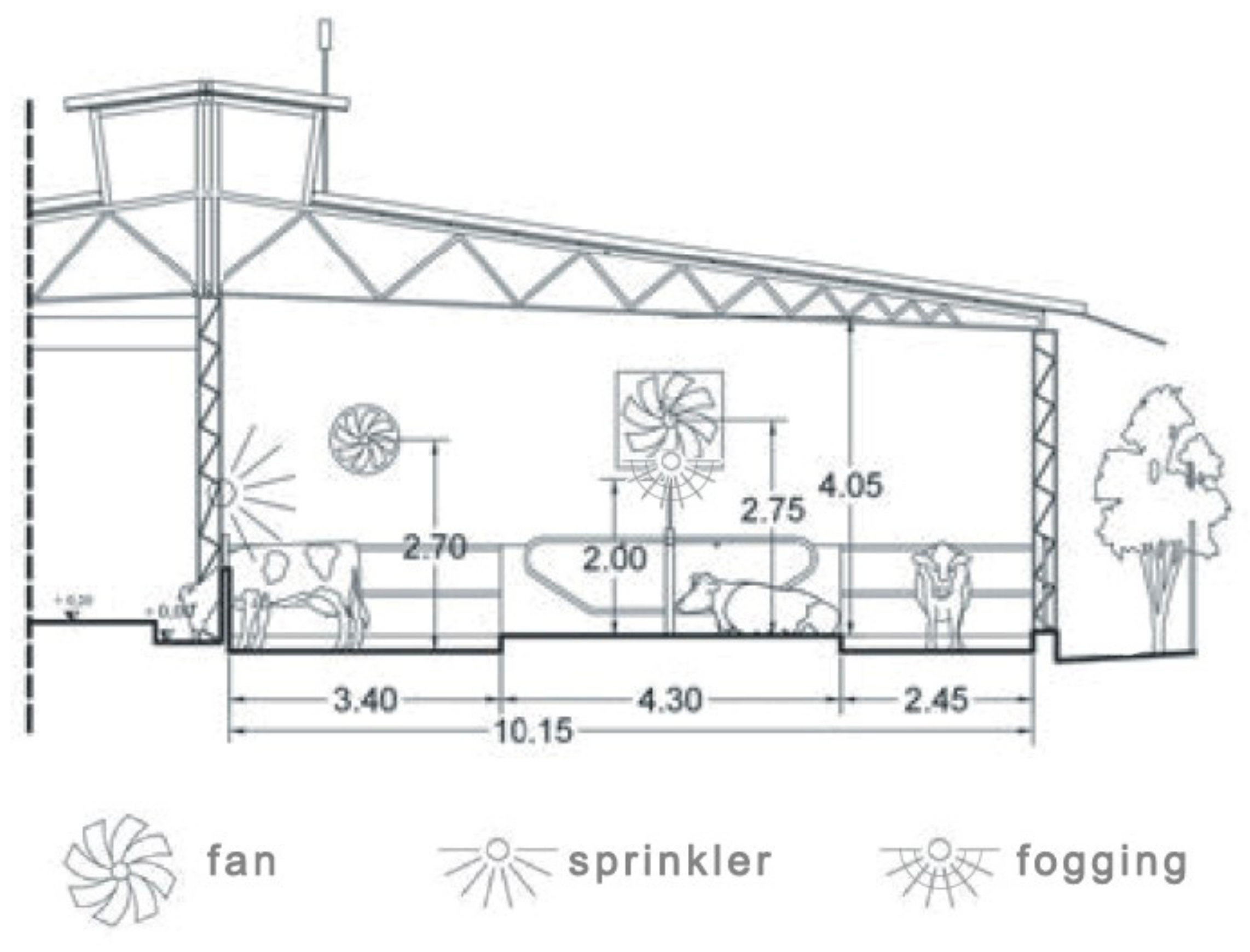 Animals 11 01400 g002
