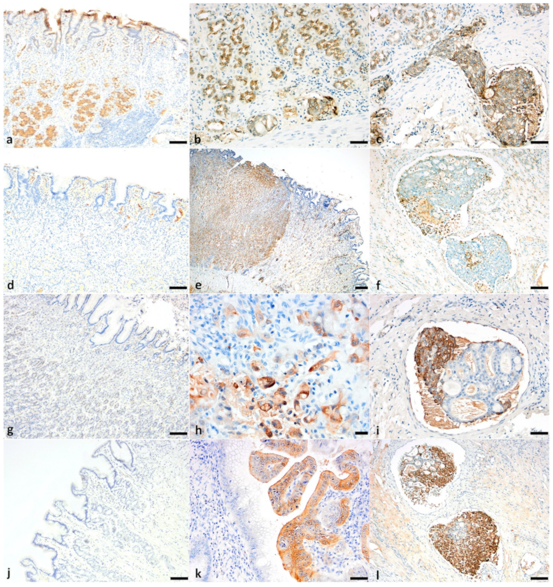 Animals 11 01409 g005