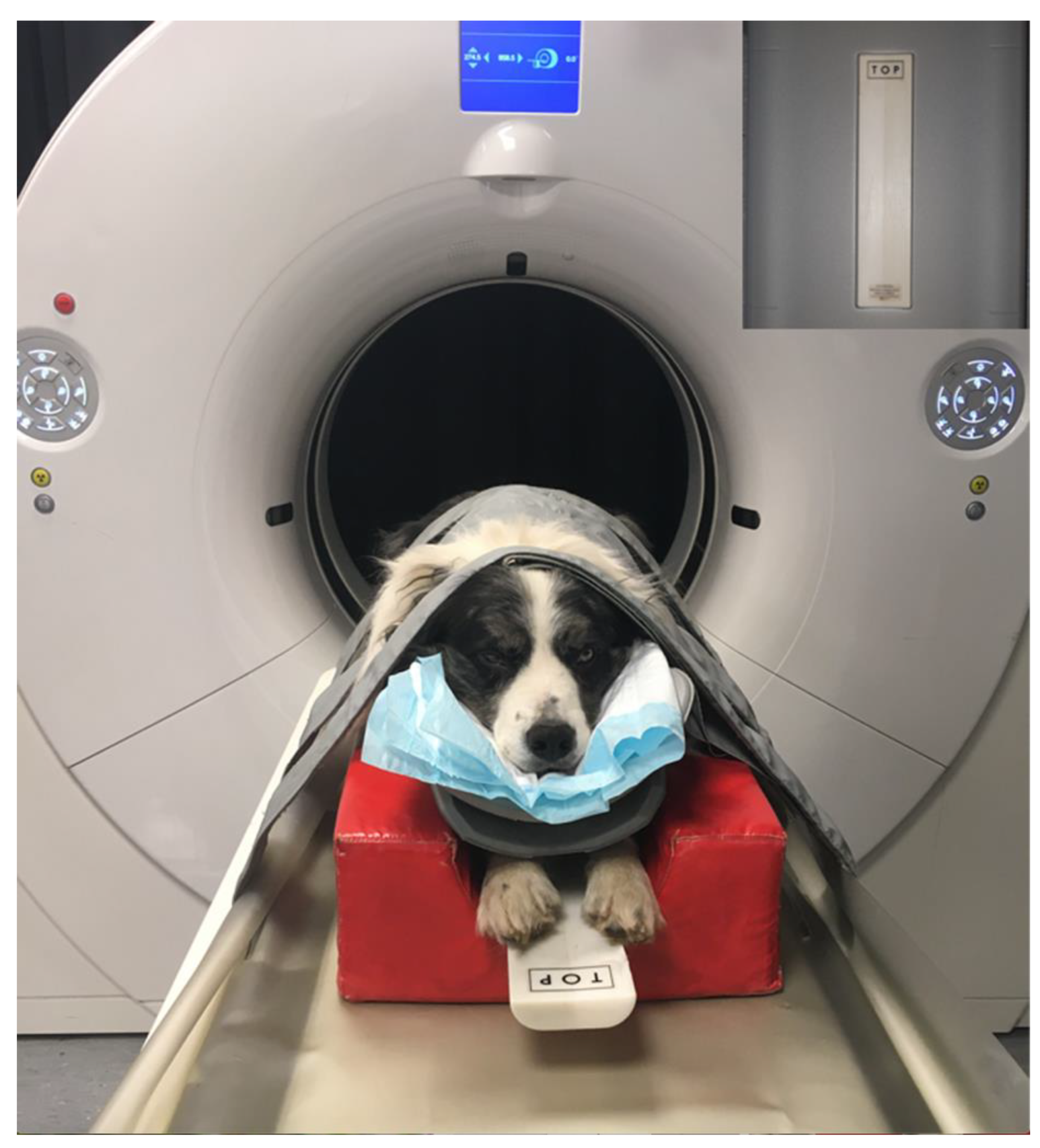 Animals 11 01413 g001 Animals 11 01413 g001