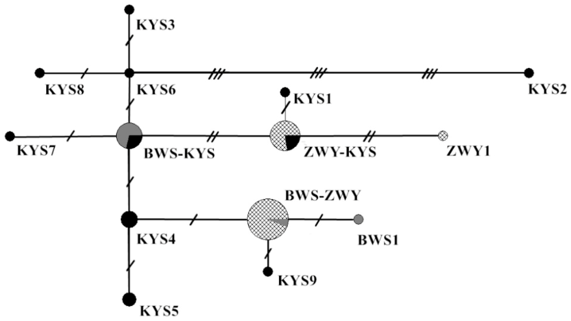 Animals 11 01429 g002