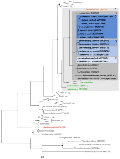 Animals 11 01451 g001