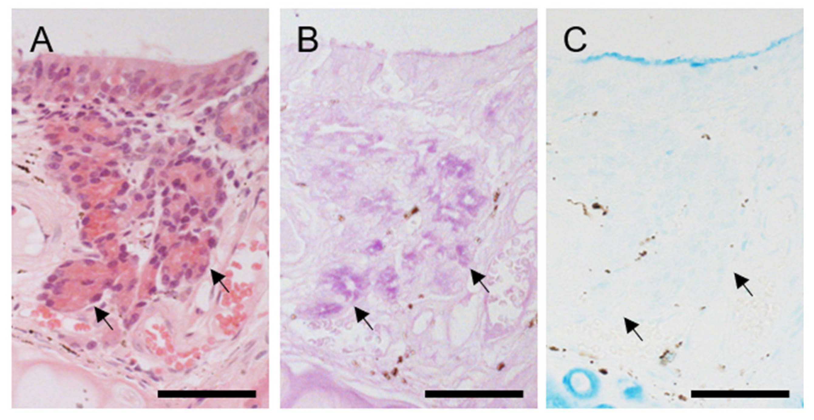 Animals 11 01462 g003