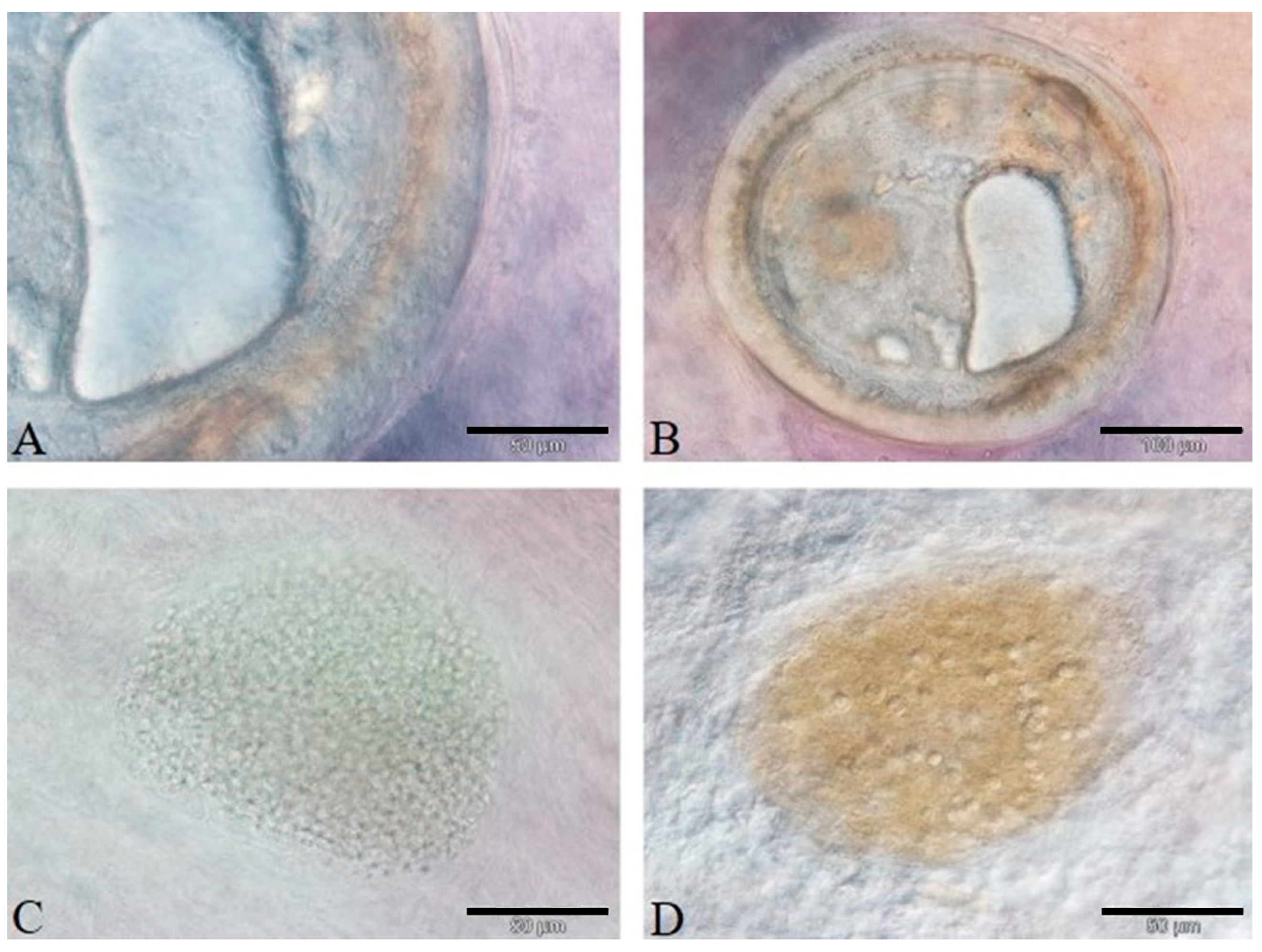 Animals 11 01501 g001