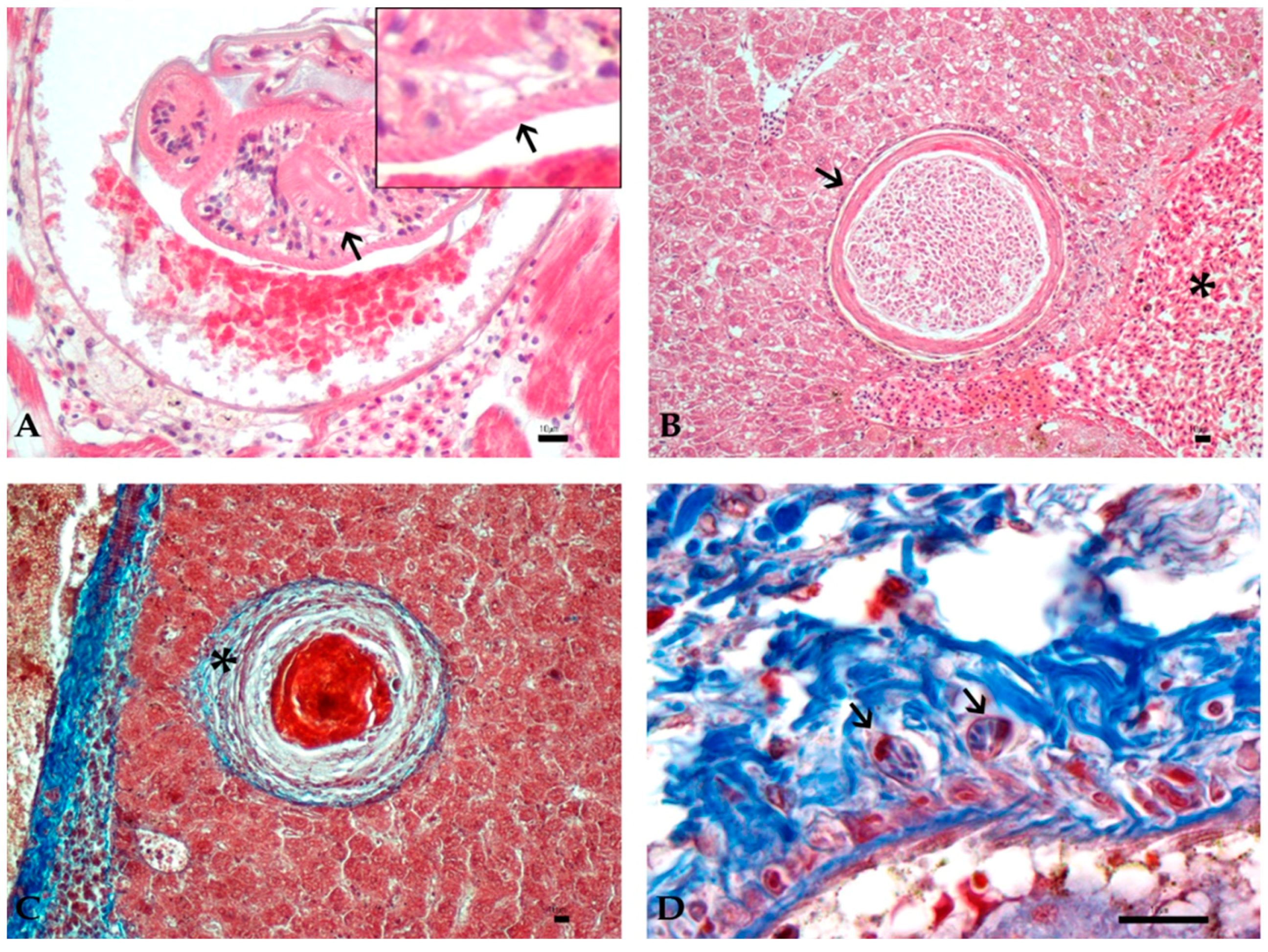 Animals 11 01501 g003