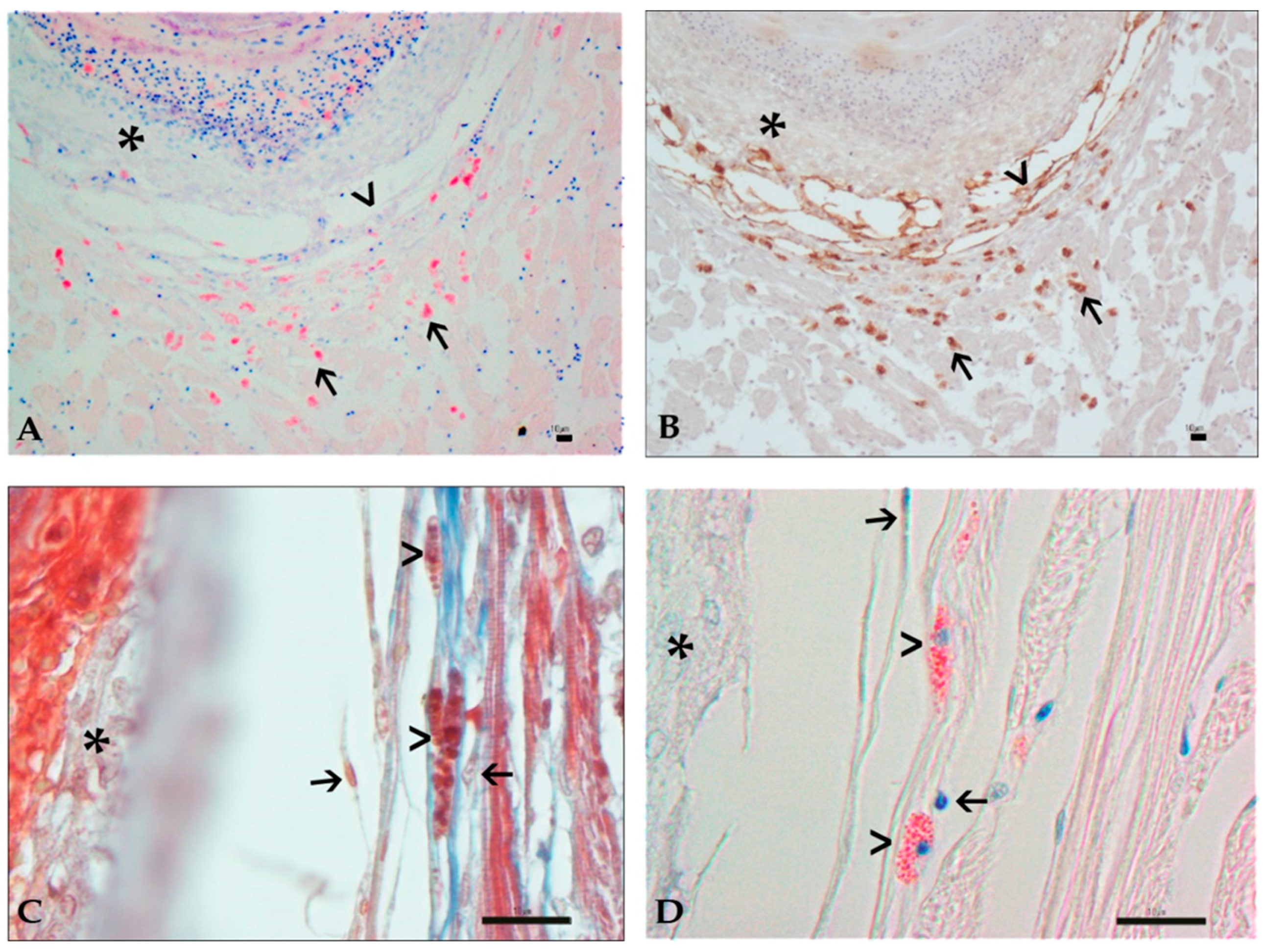 Animals 11 01501 g004