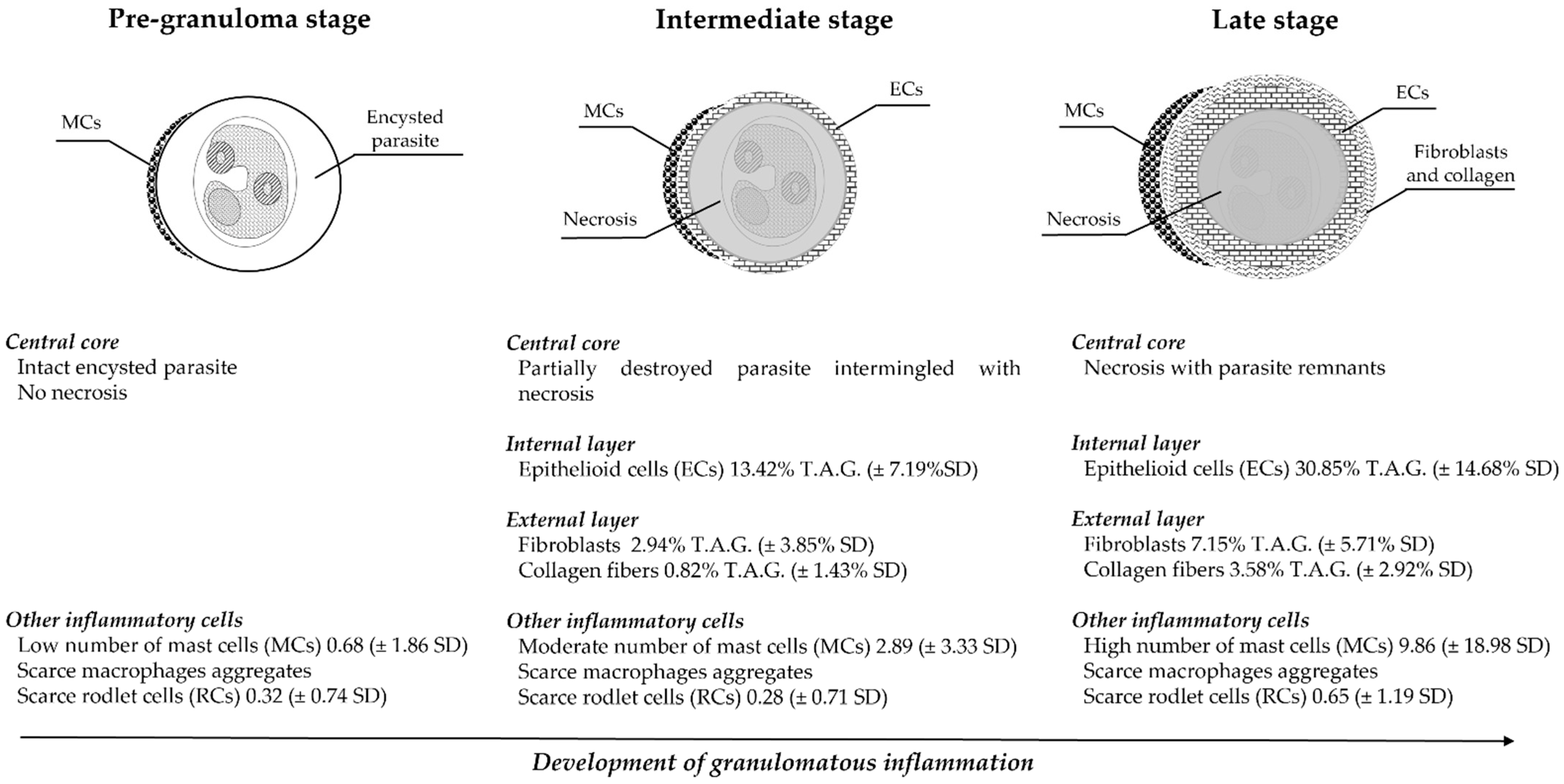 Animals 11 01501 g005