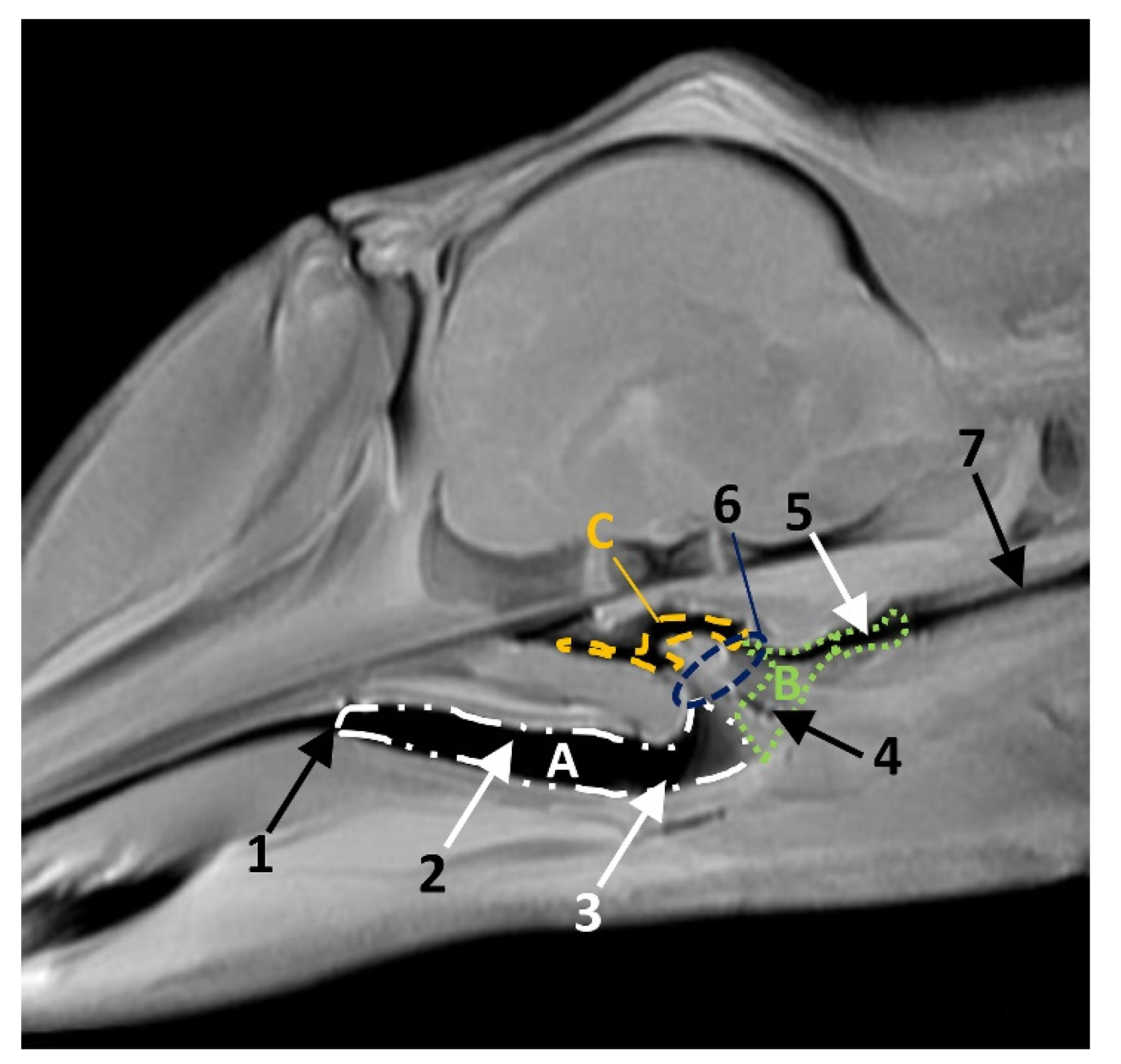 Animals 11 01507 g015 Animals 11 01507 g015