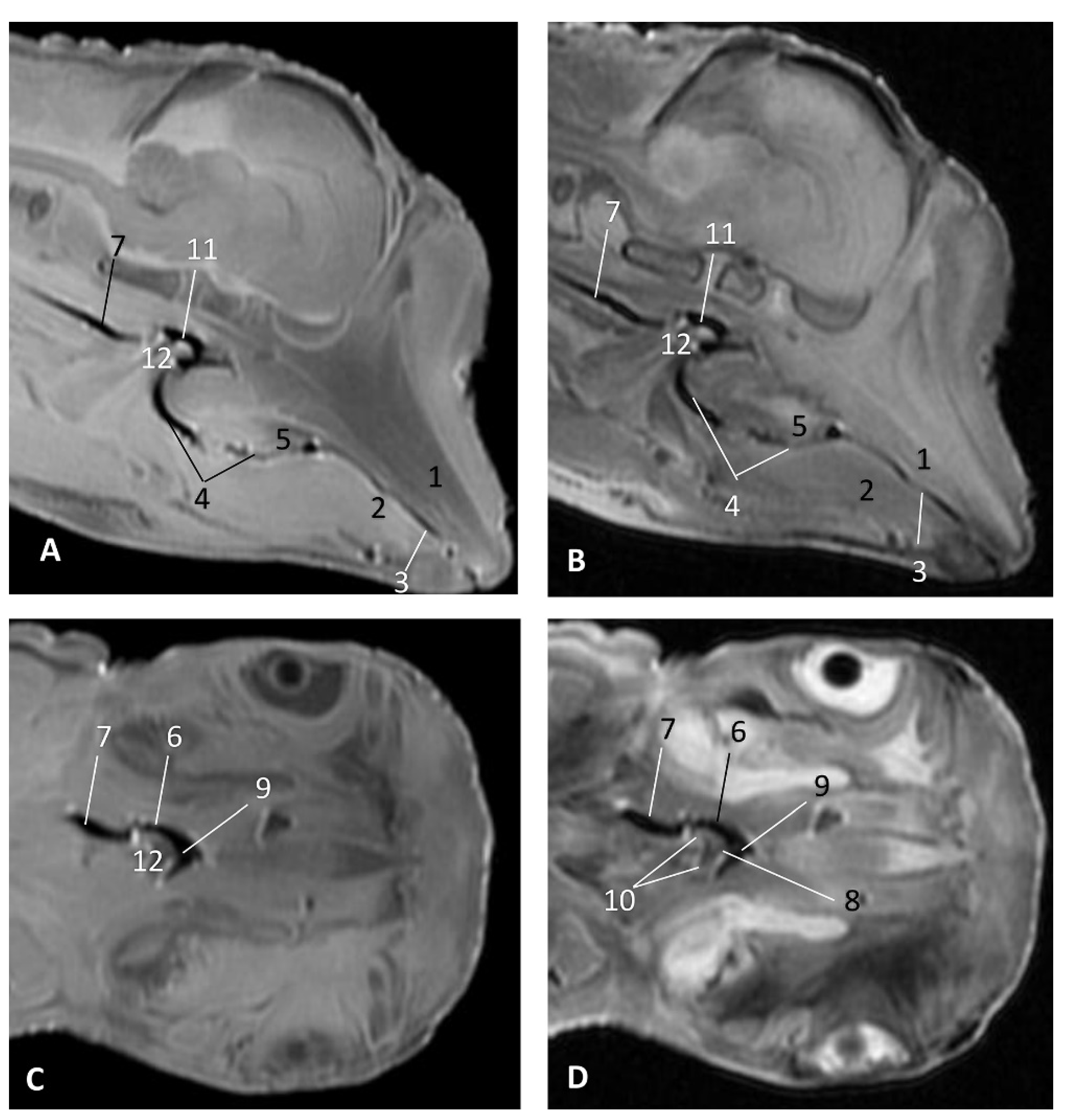 Animals 11 01507 g025 Animals 11 01507 g025