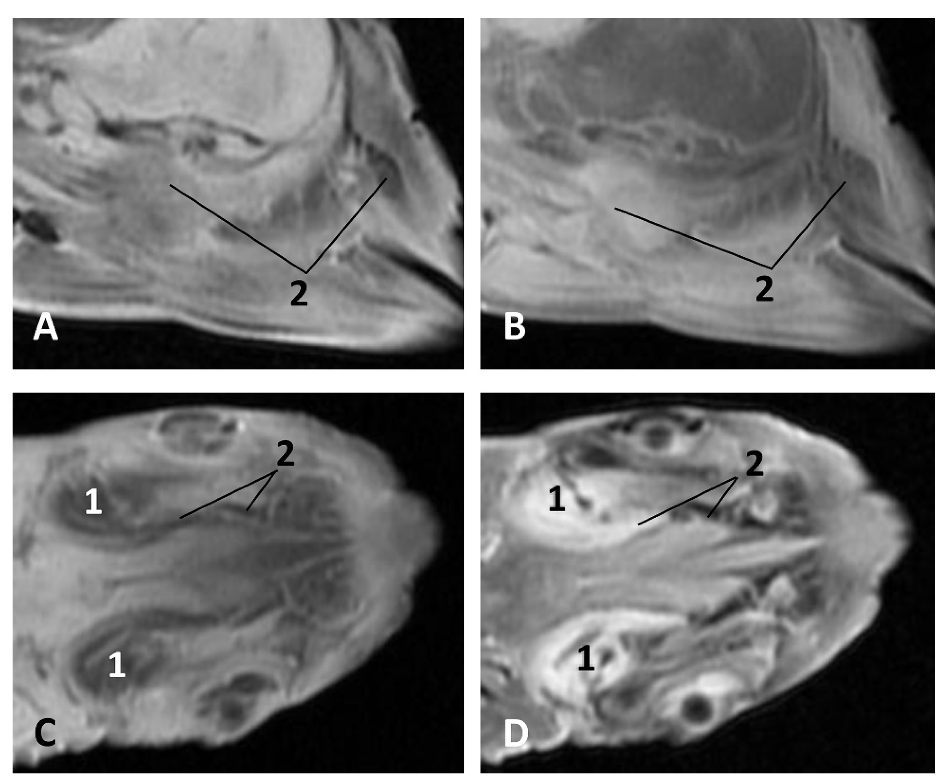 Animals 11 01507 g026 Animals 11 01507 g026