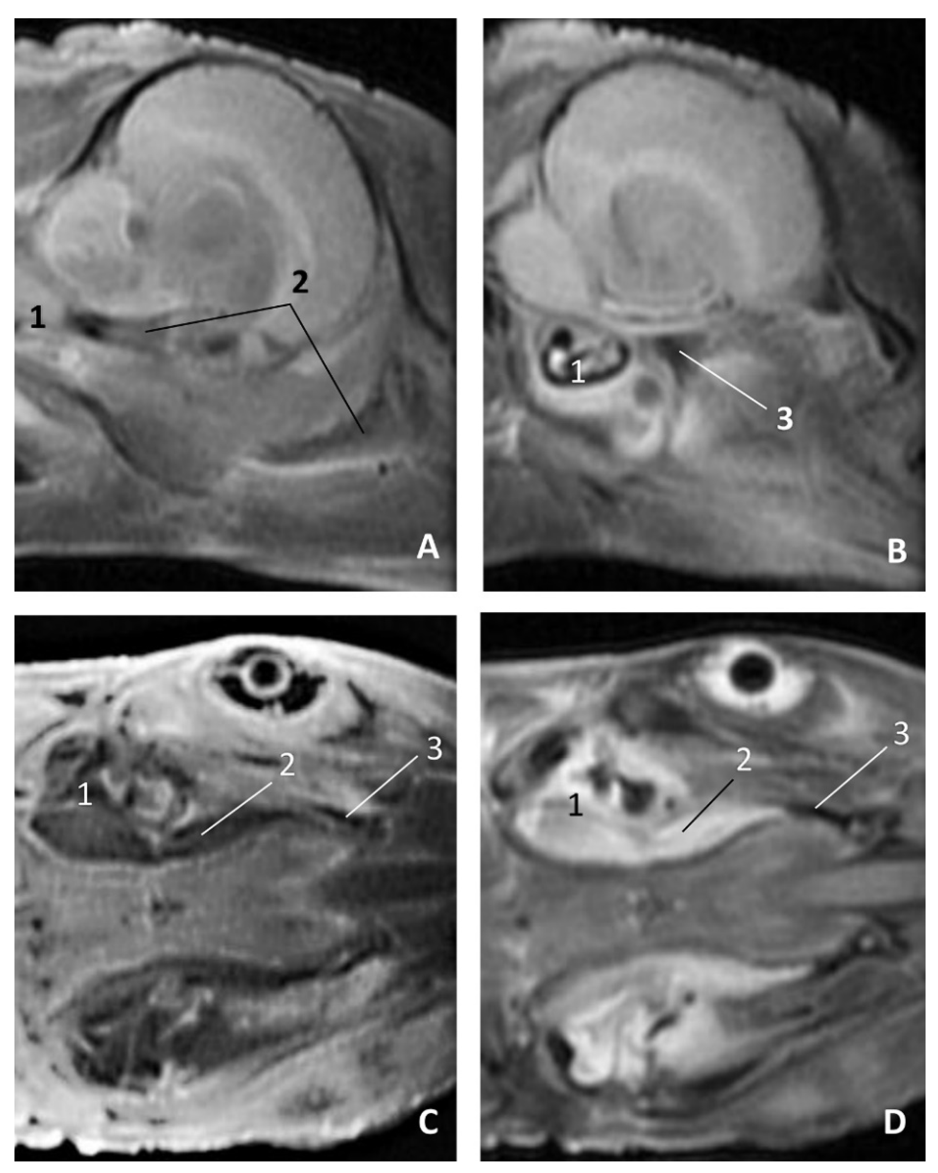 Animals 11 01507 g027 Animals 11 01507 g027