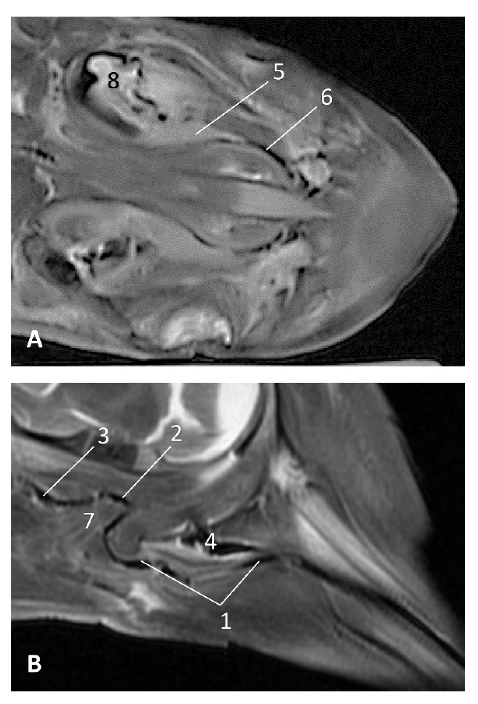 Animals 11 01507 g029 Animals 11 01507 g029