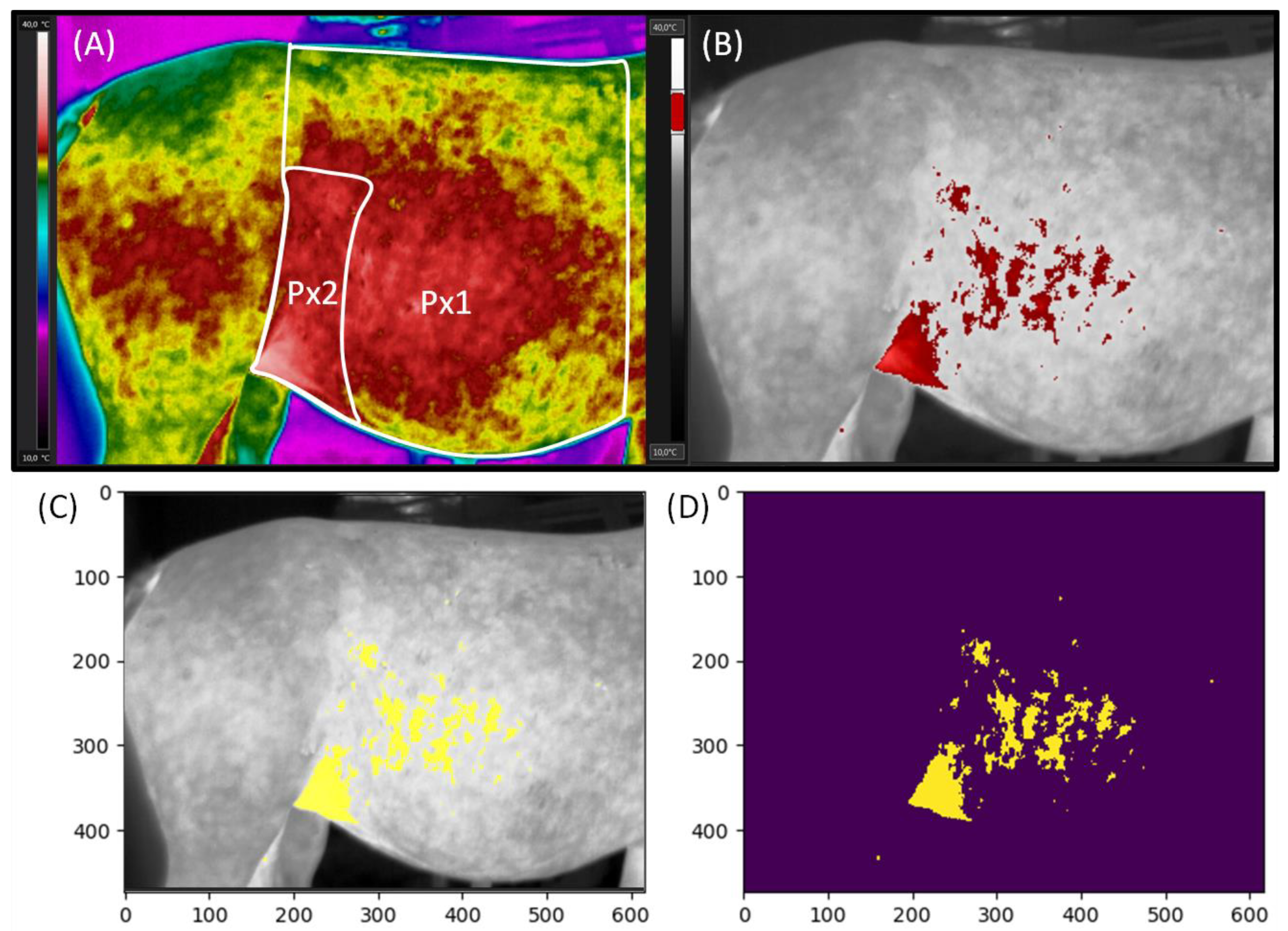 Animals 11 01517 g001