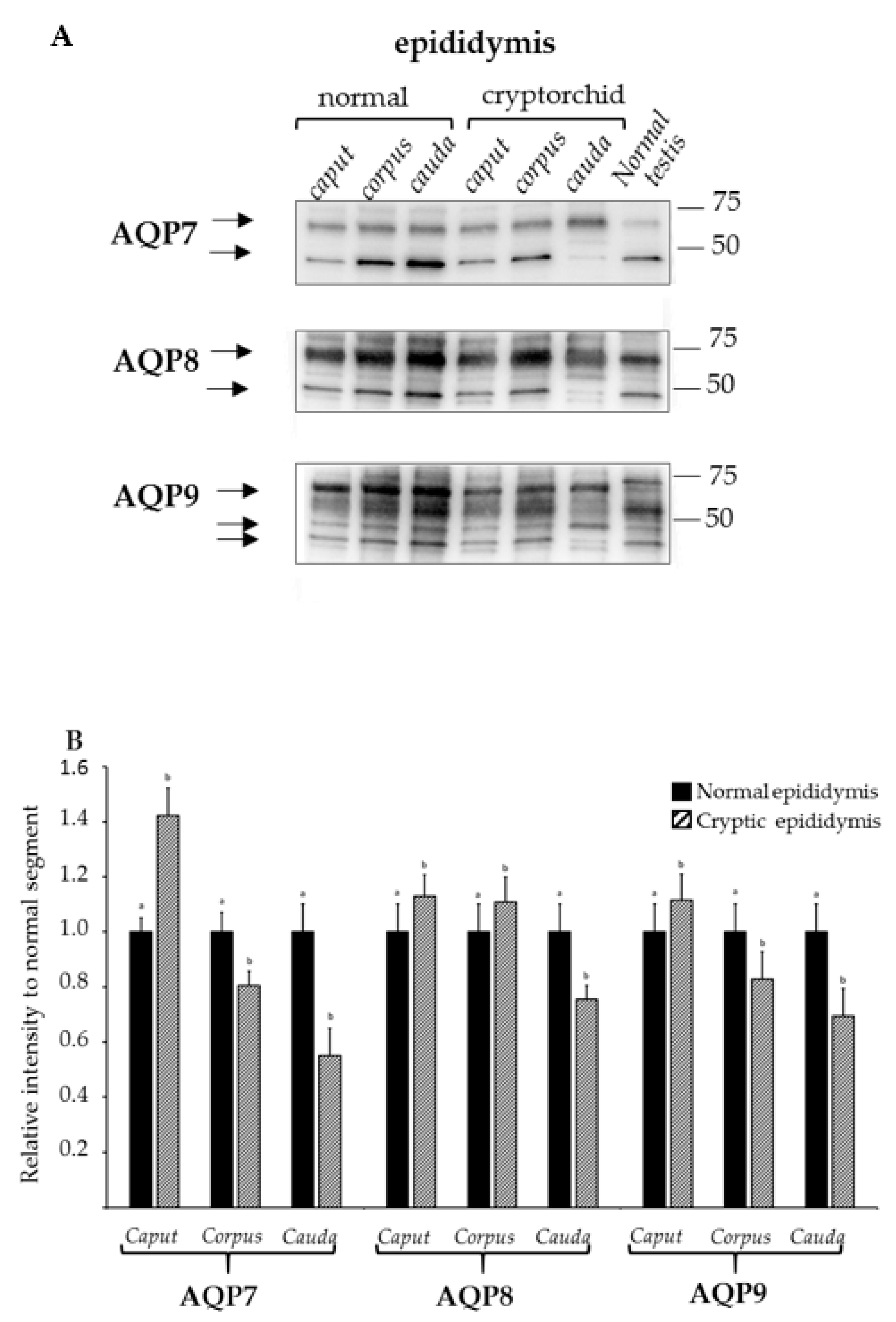 Animals 11 01539 g004