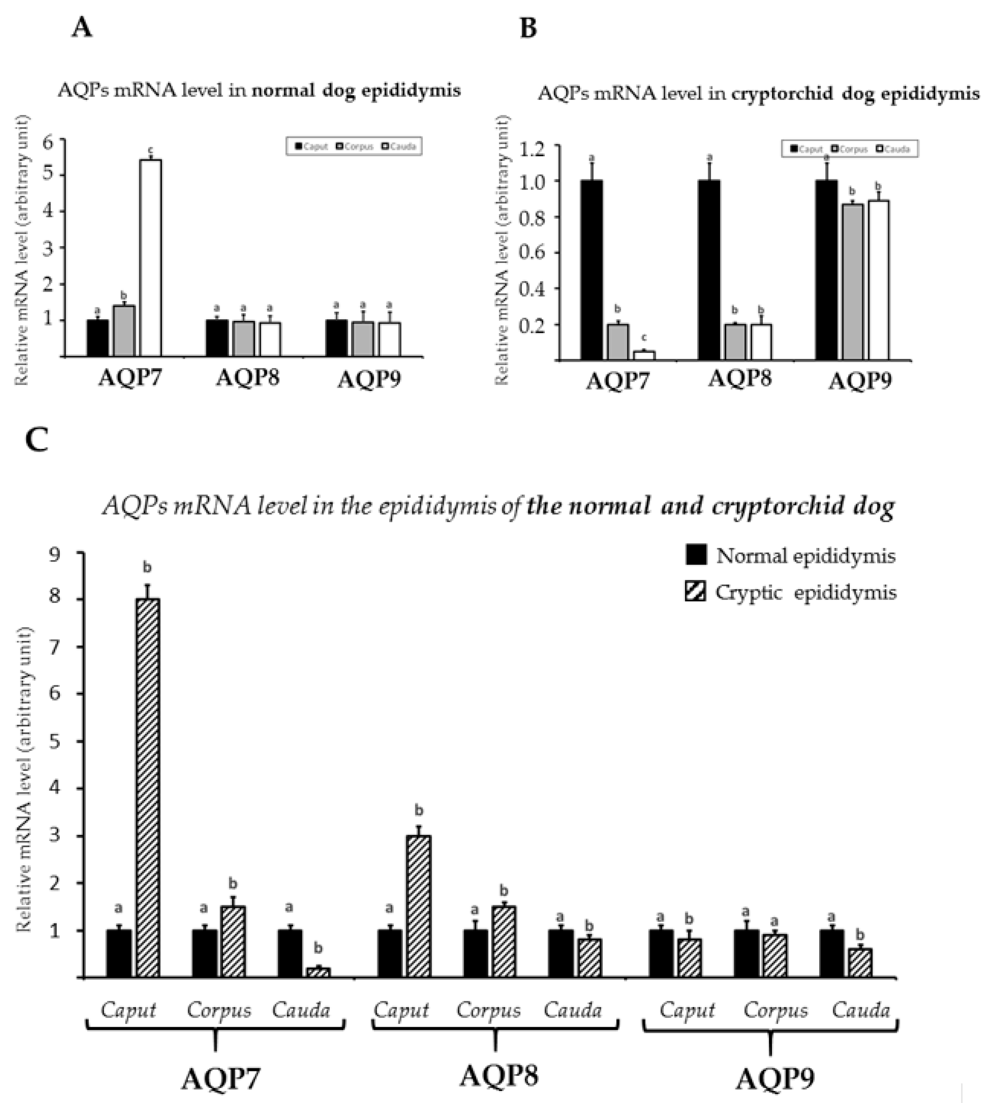 Animals 11 01539 g005
