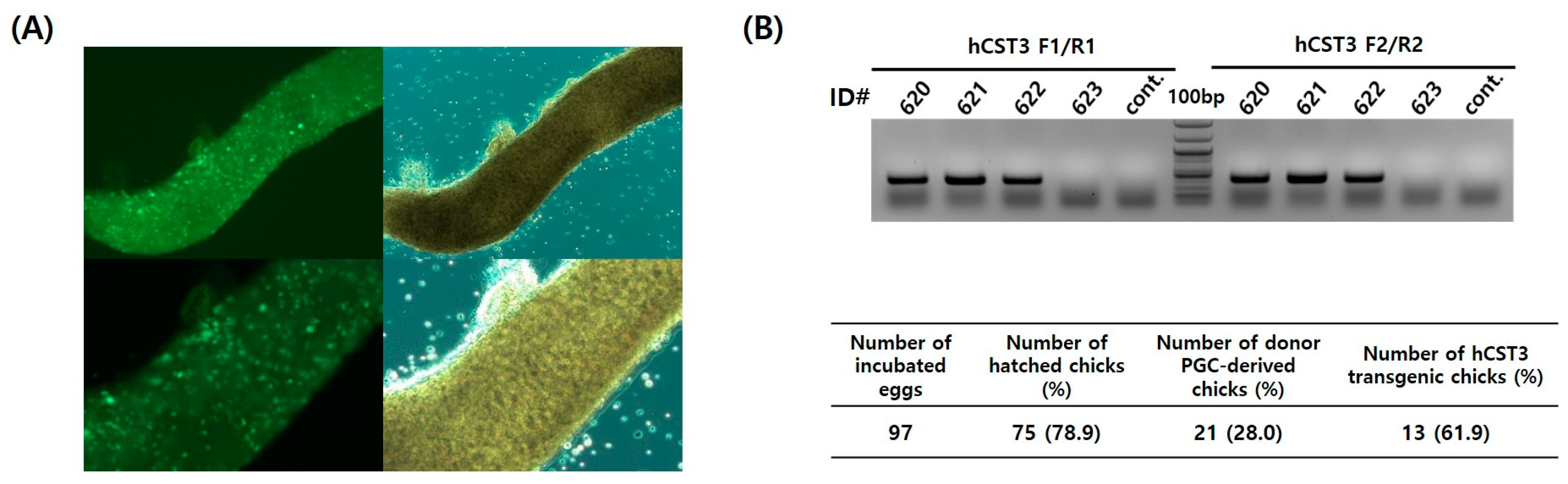 Animals 11 01554 g002