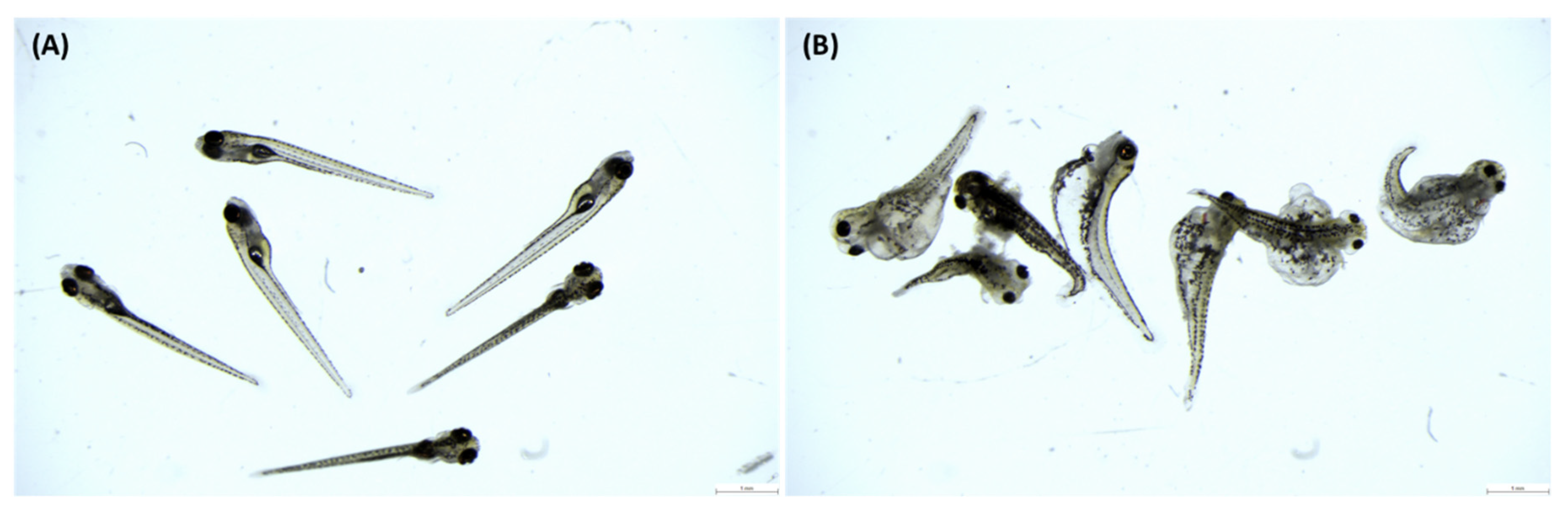 Animals 11 01558 g001