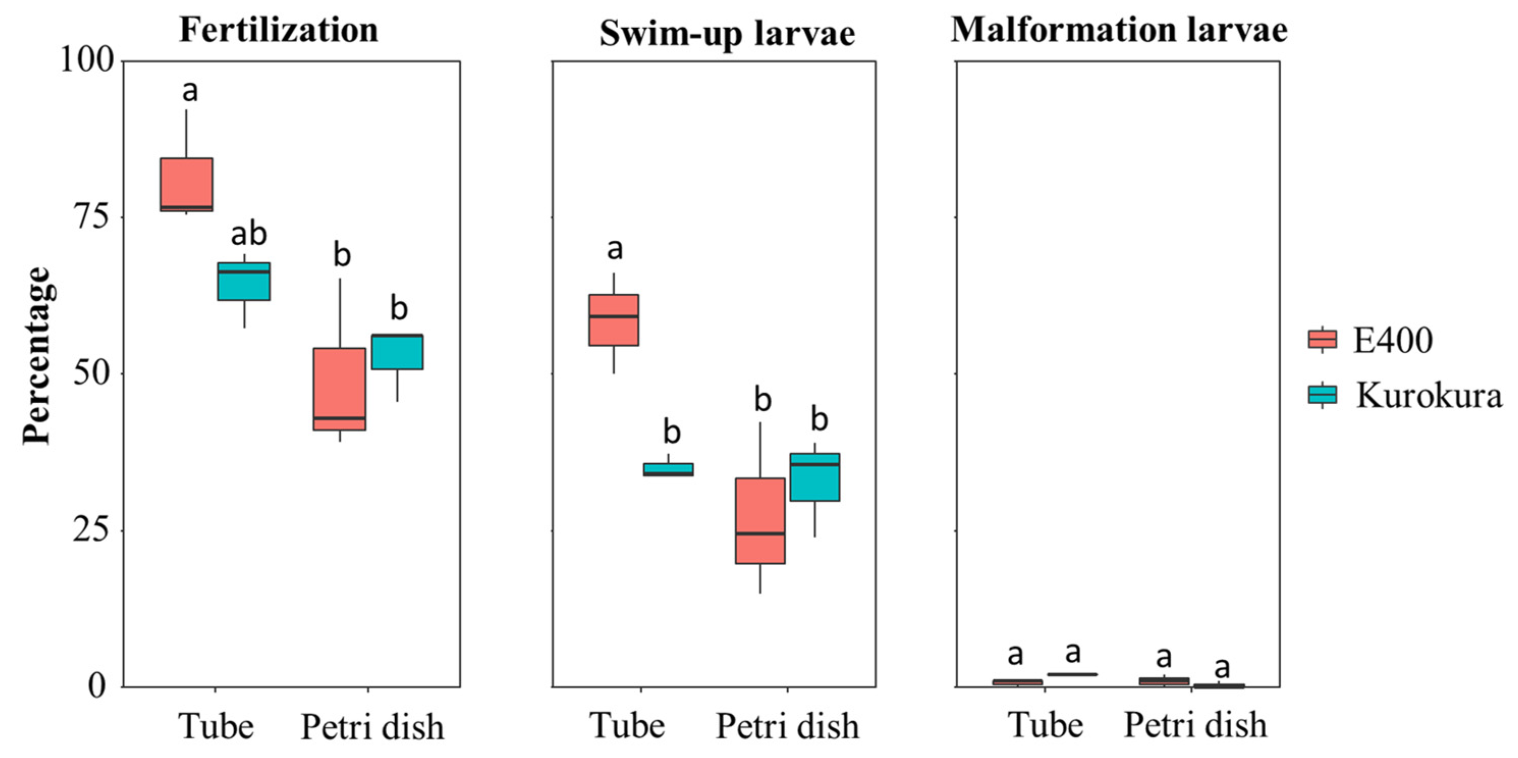 Animals 11 01558 g006