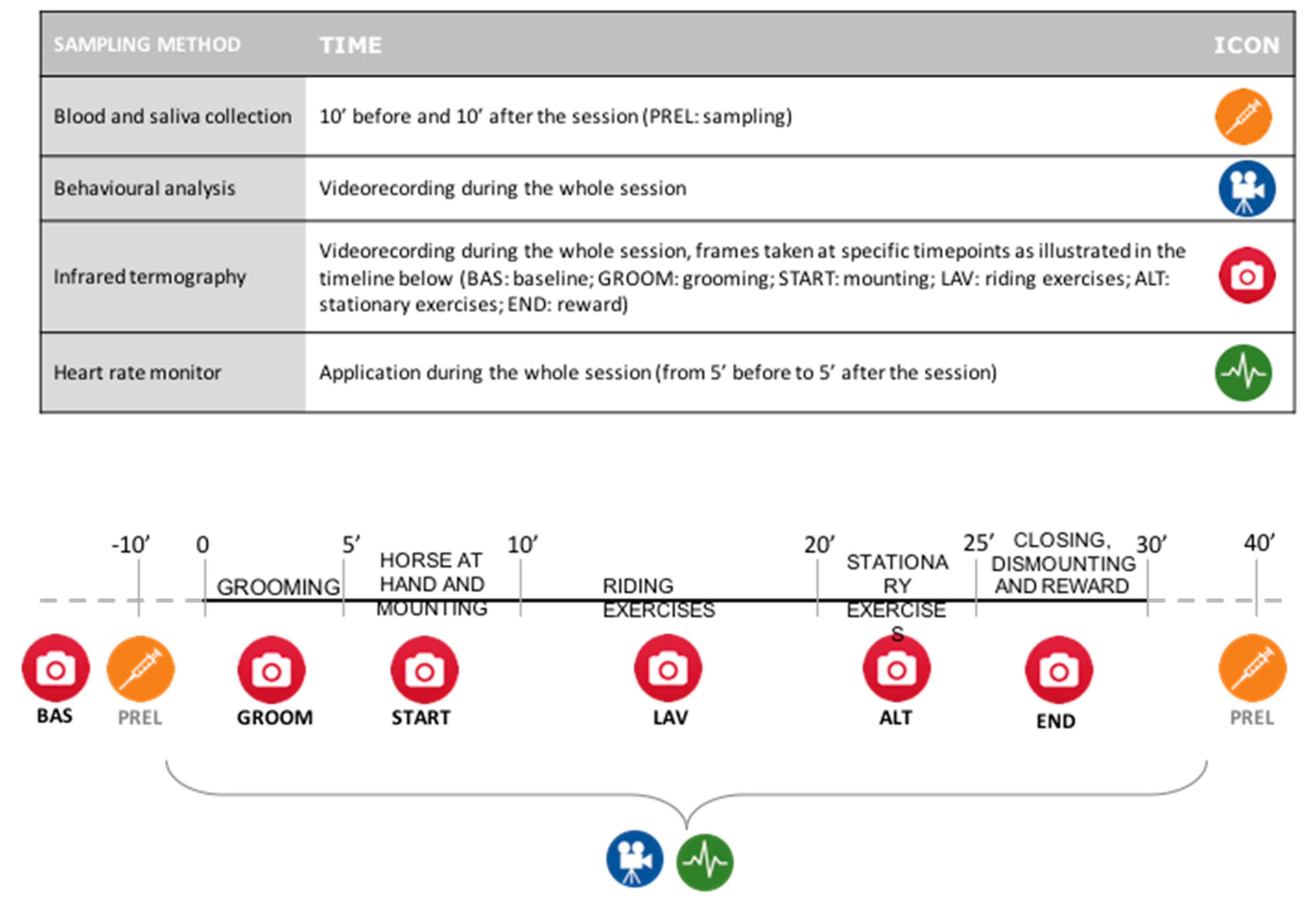 Animals 11 01562 g001