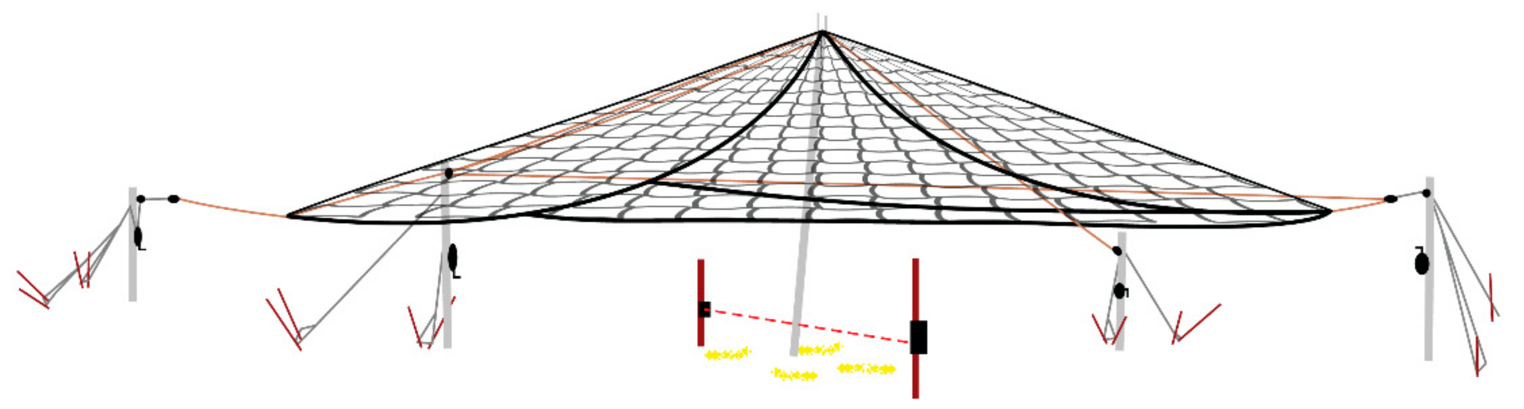 Animals 11 01565 g004