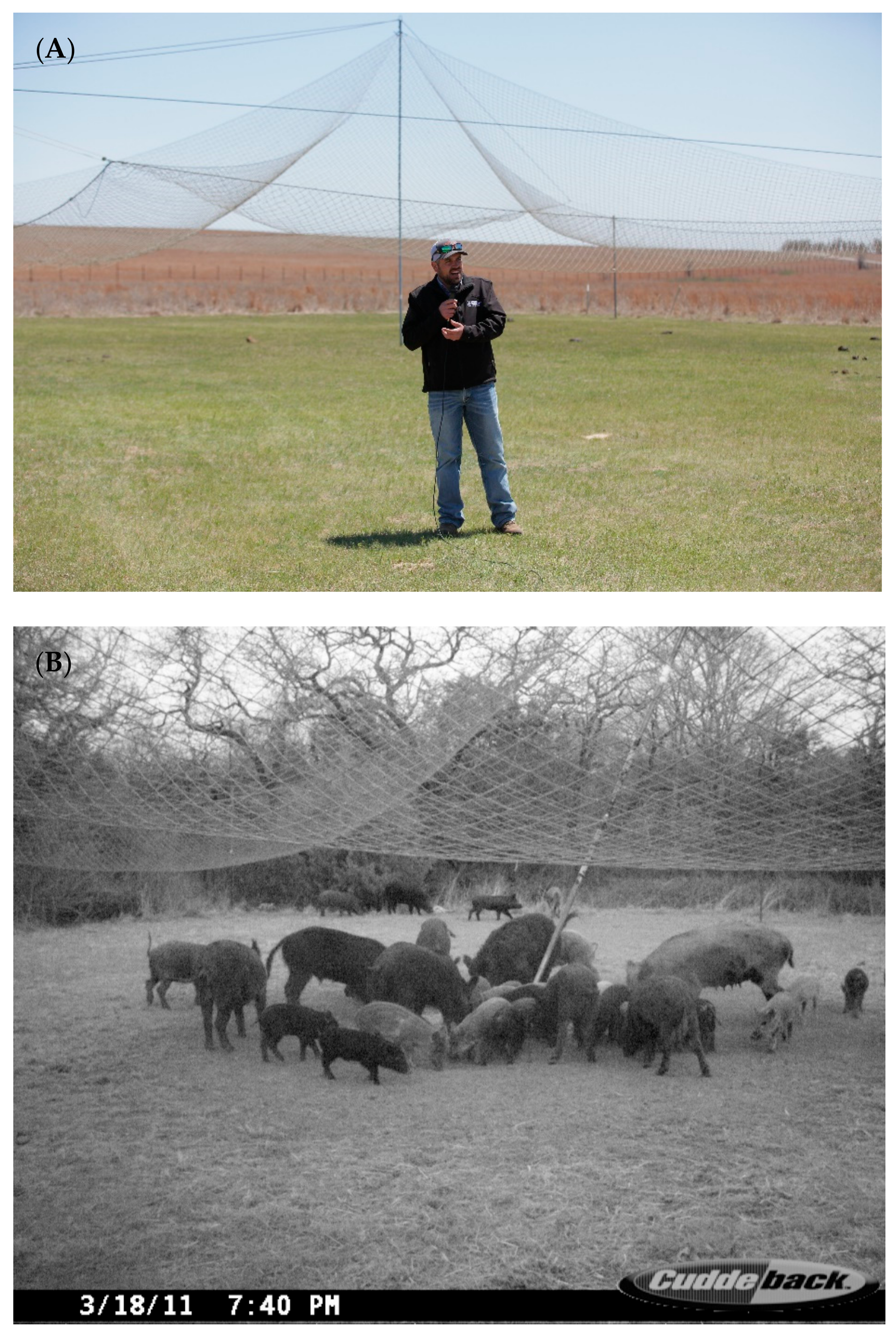 Animals 11 01565 g005