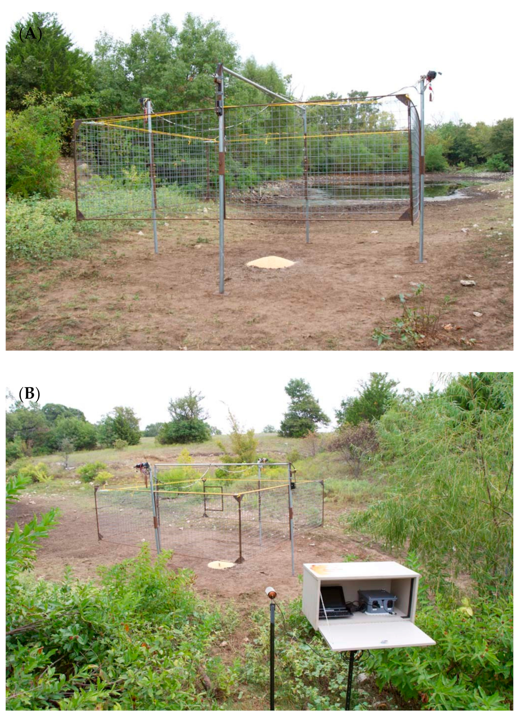 Animals 11 01565 g007