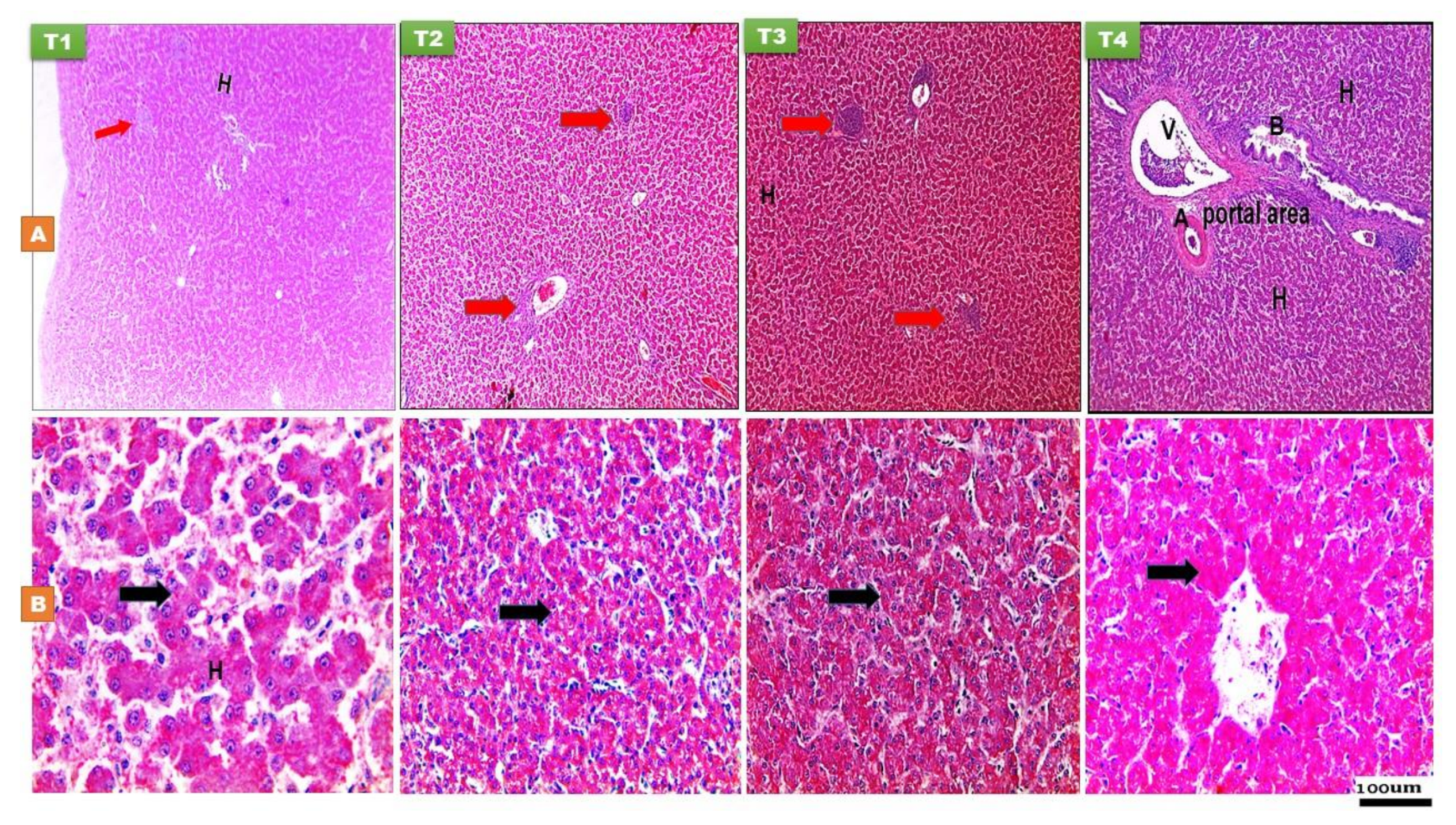 Animals 11 01568 g004