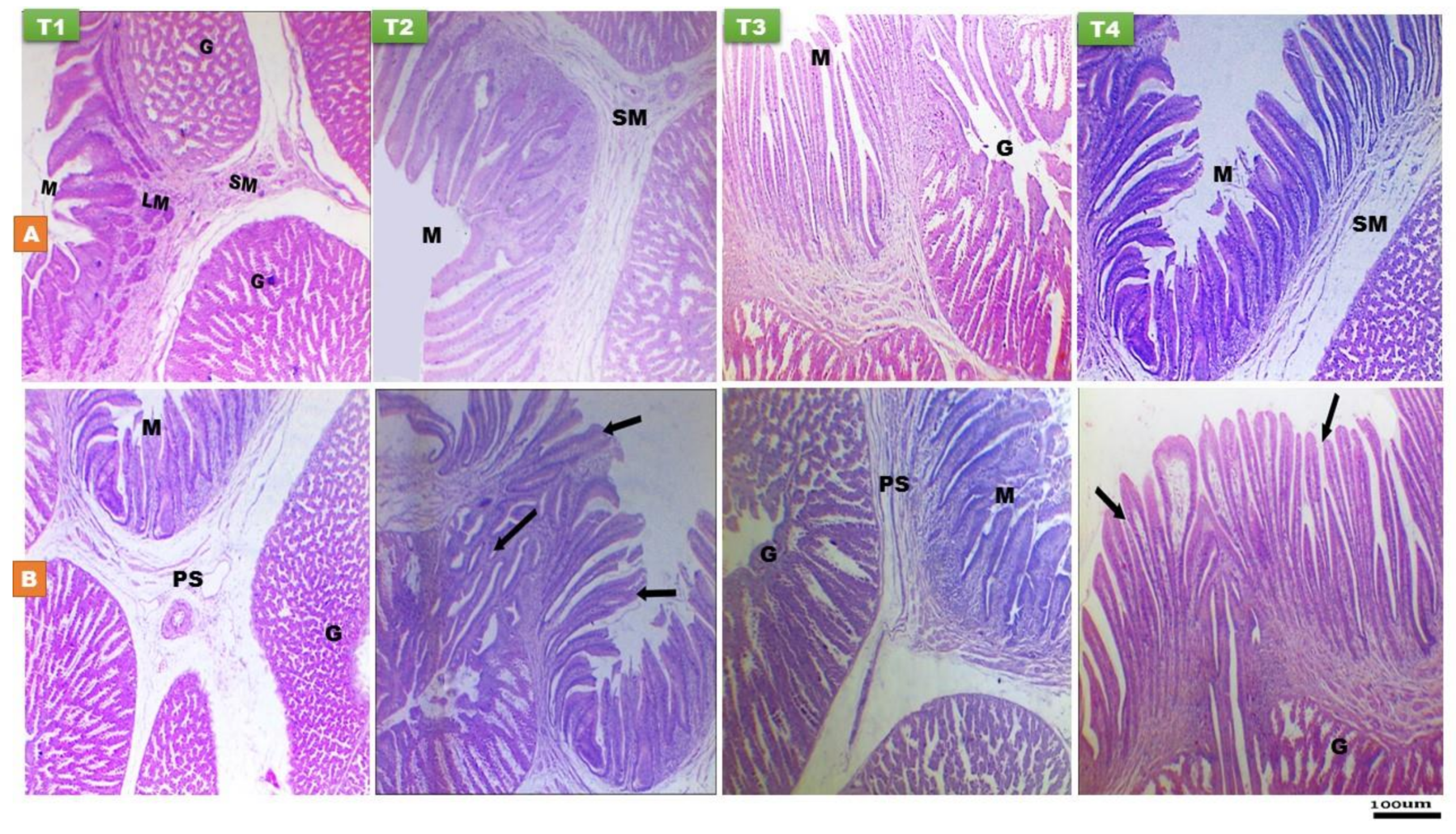 Animals 11 01568 g005